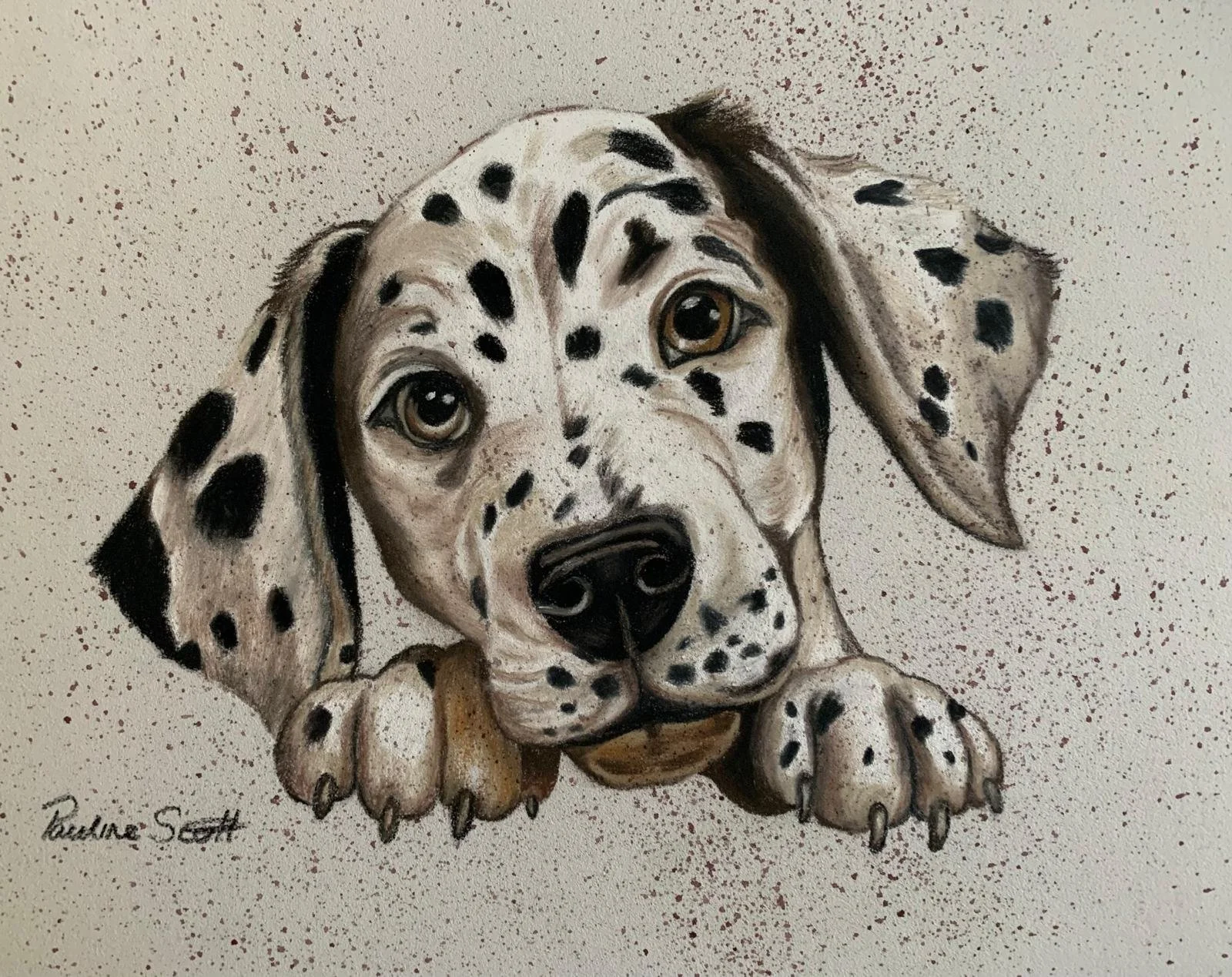 "Dotty" by Pauline Scott