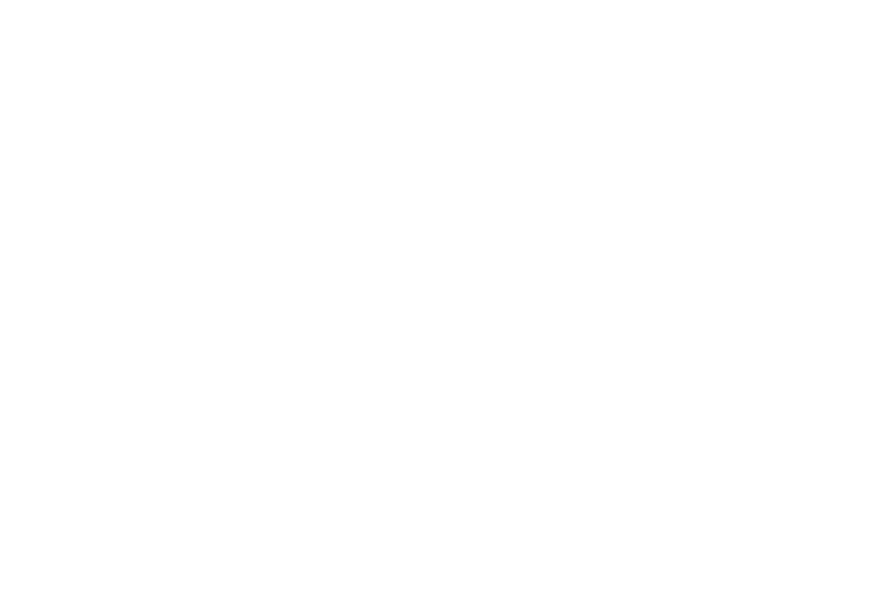 BEA Logo Main - White 7.39.35 PM.png