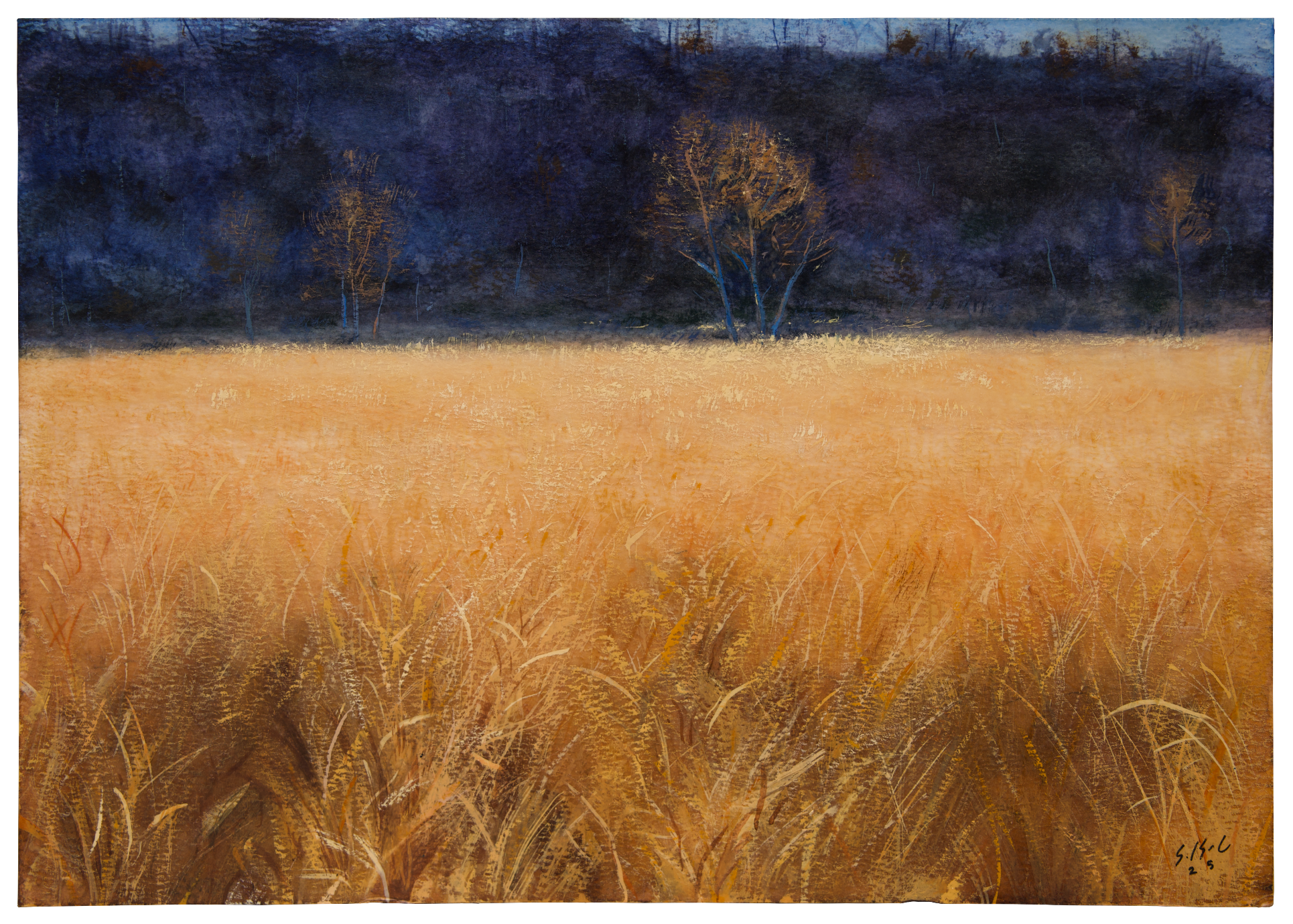 An autumn landscape painting featuring a warm textured foreground with expressive weeds and straws. Soft blue background. Watercolor and gouache ladscape painting.
