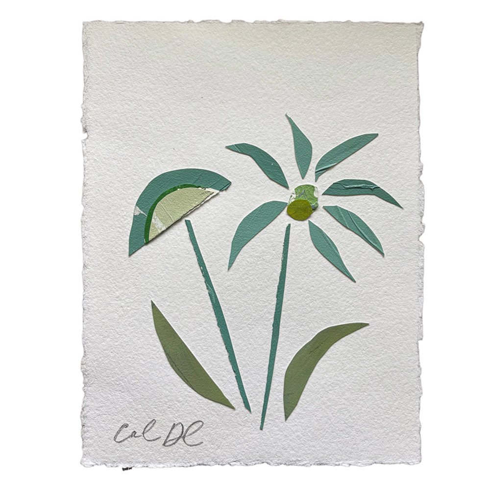 Floral Collage 1.jpg