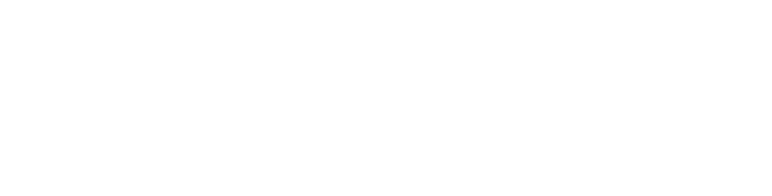 Mellon Foundation Guidelines