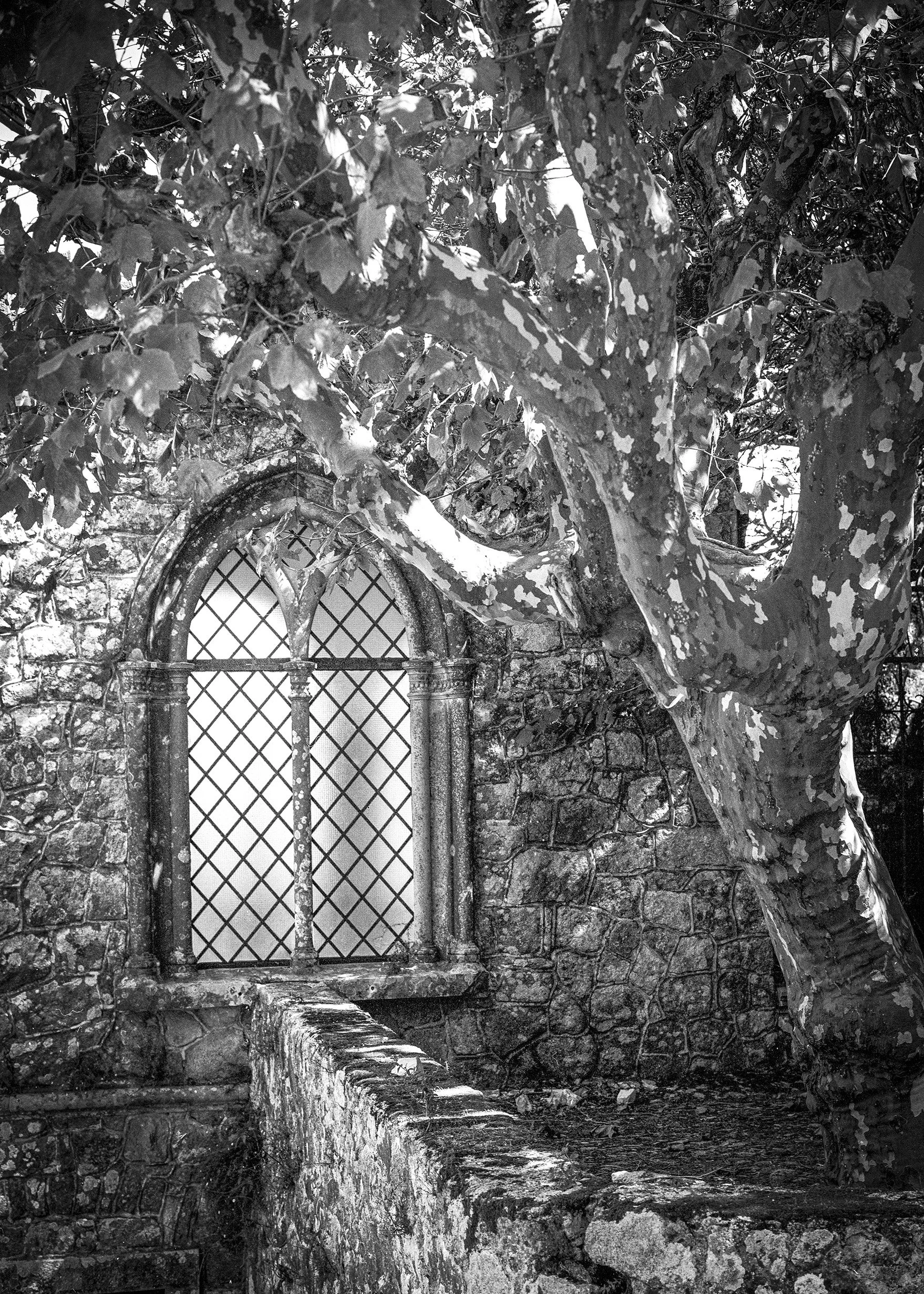 Church Window - Sintra 