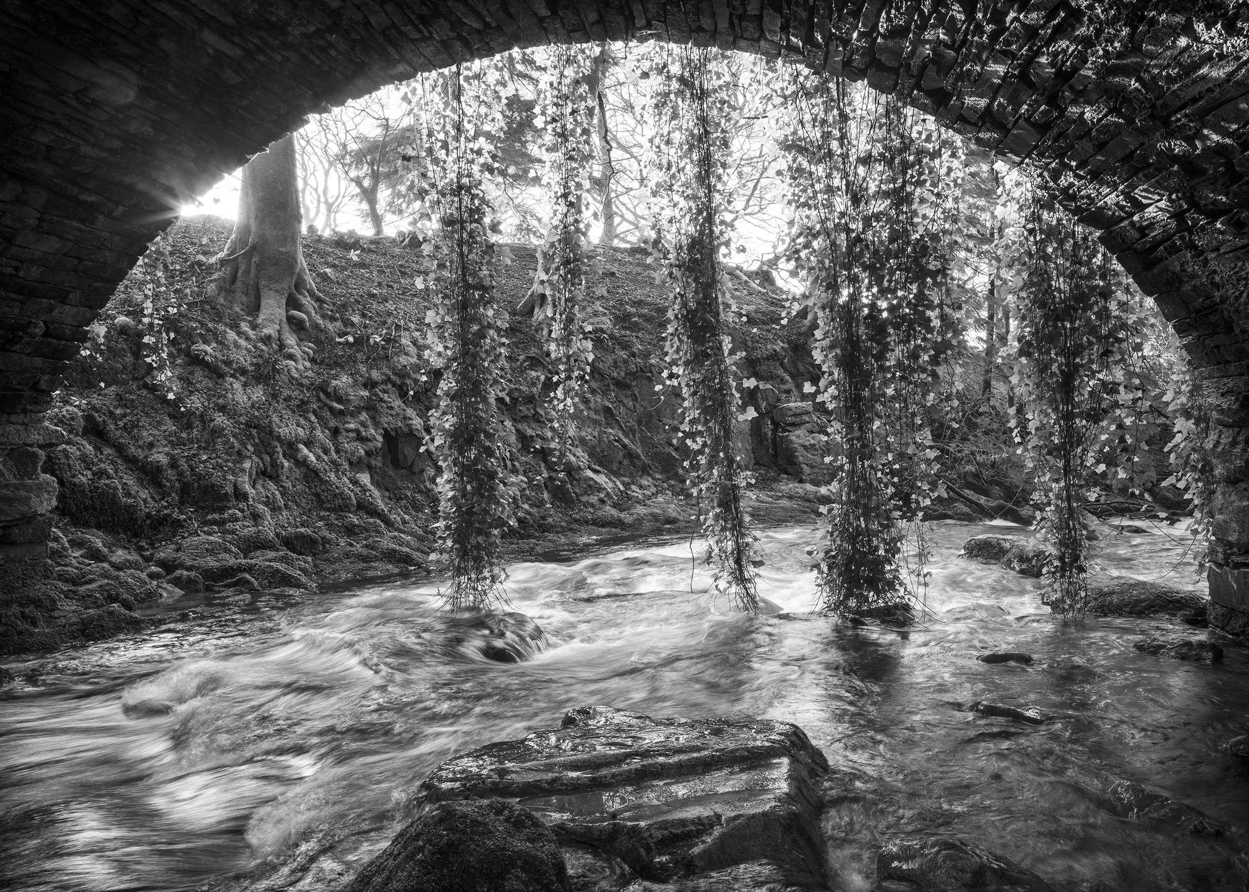  Rydal Hall Bridge with Ivy 1.jpg