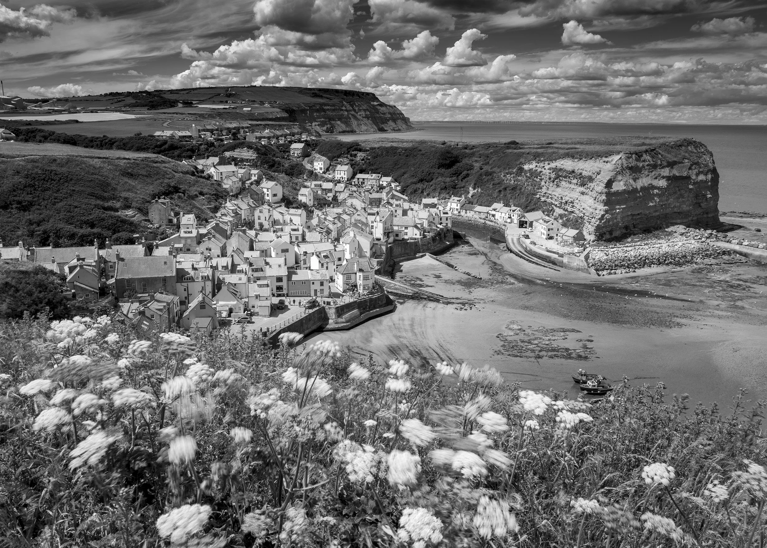 Staithes from Cliff  copy.jpg