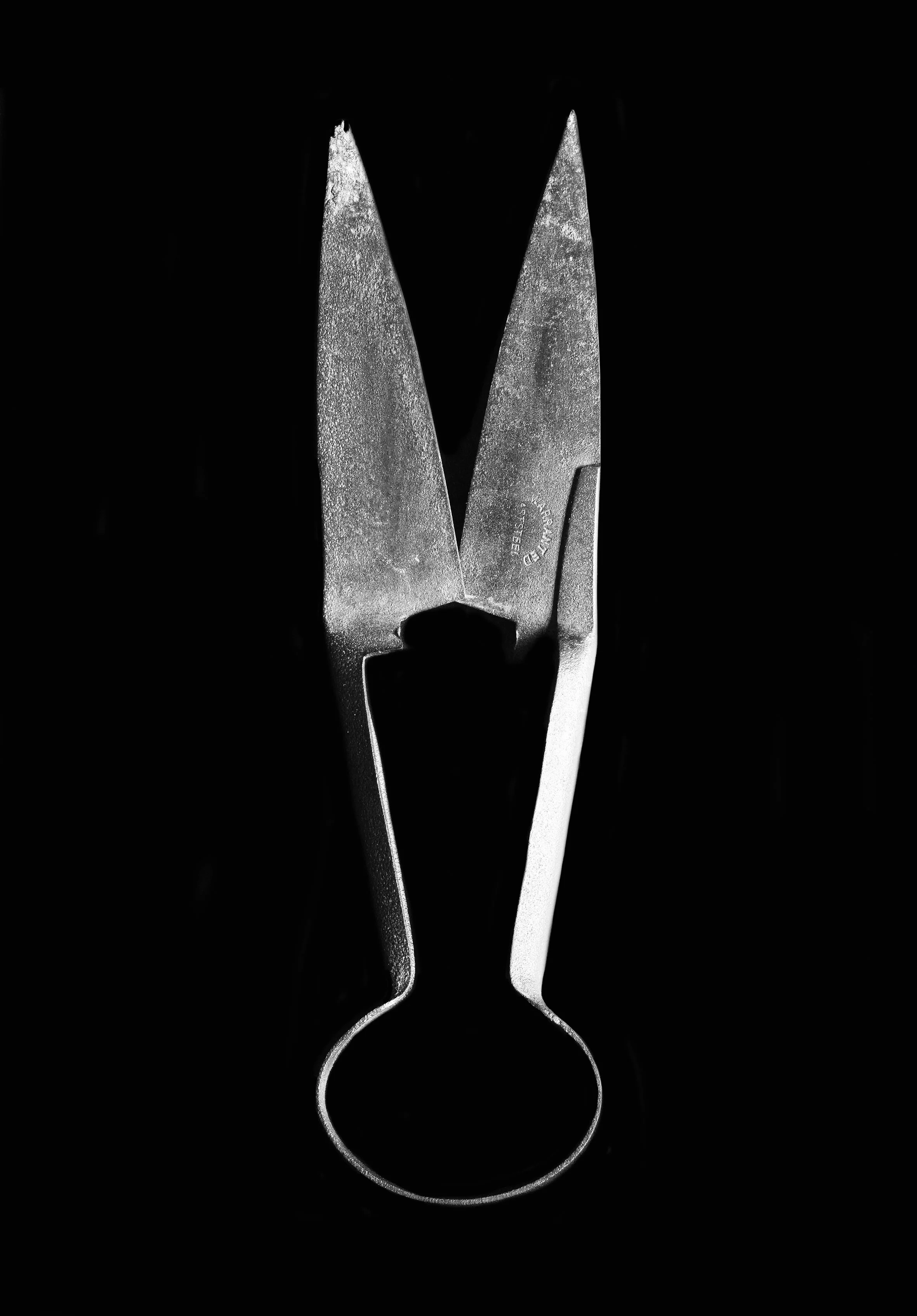 Sheep Shears.jpg