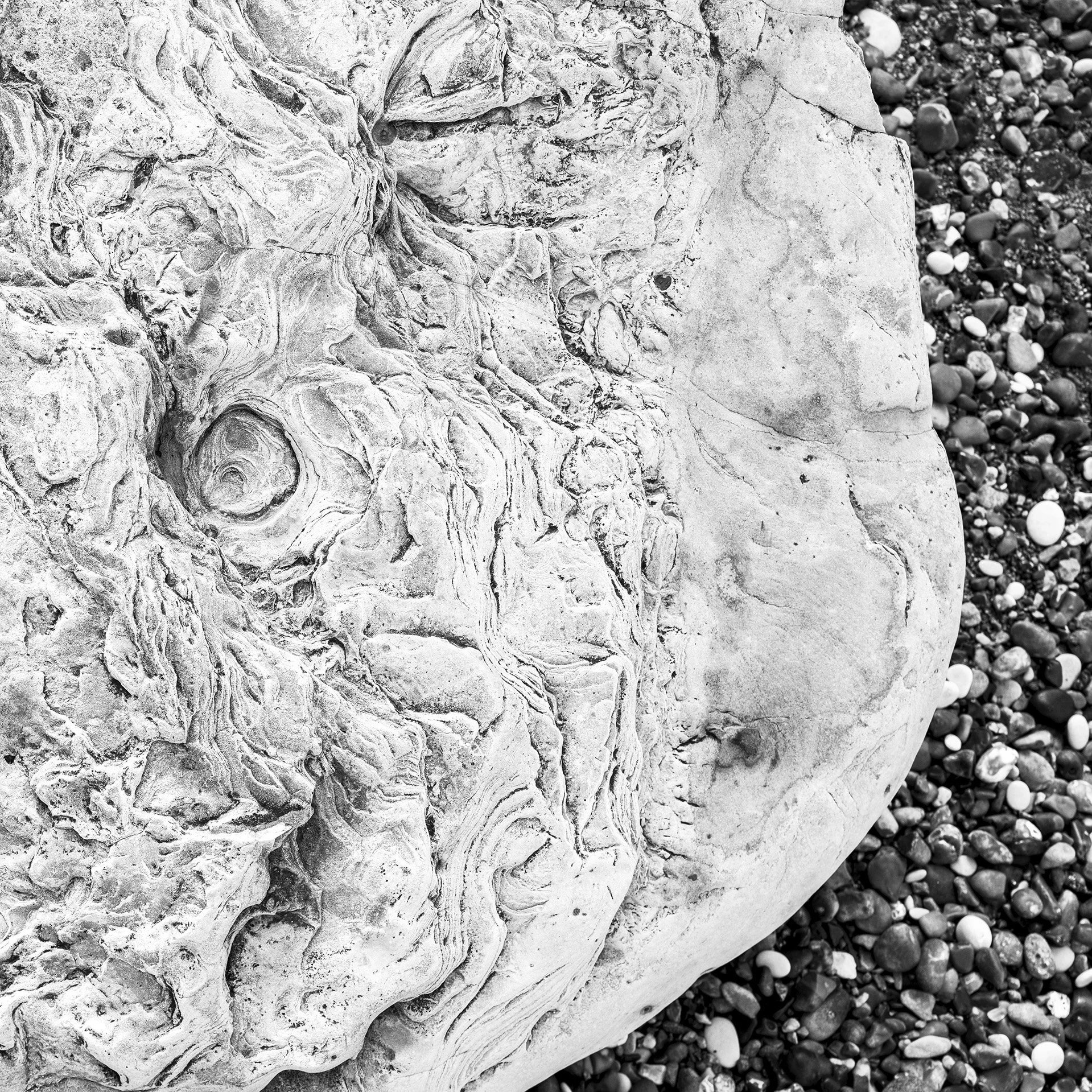 Whale Stone - Dorset 