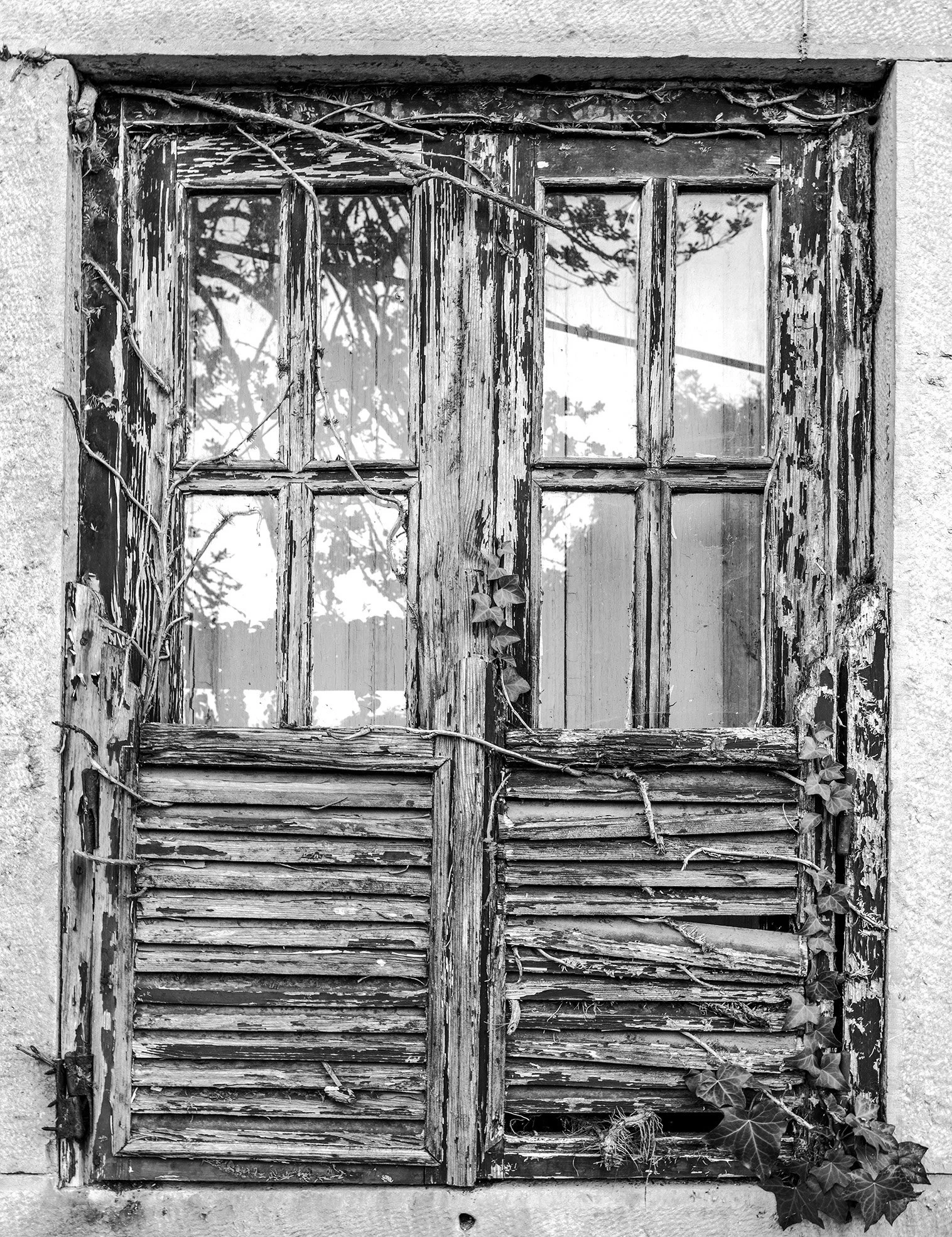 Old Window - Sintra