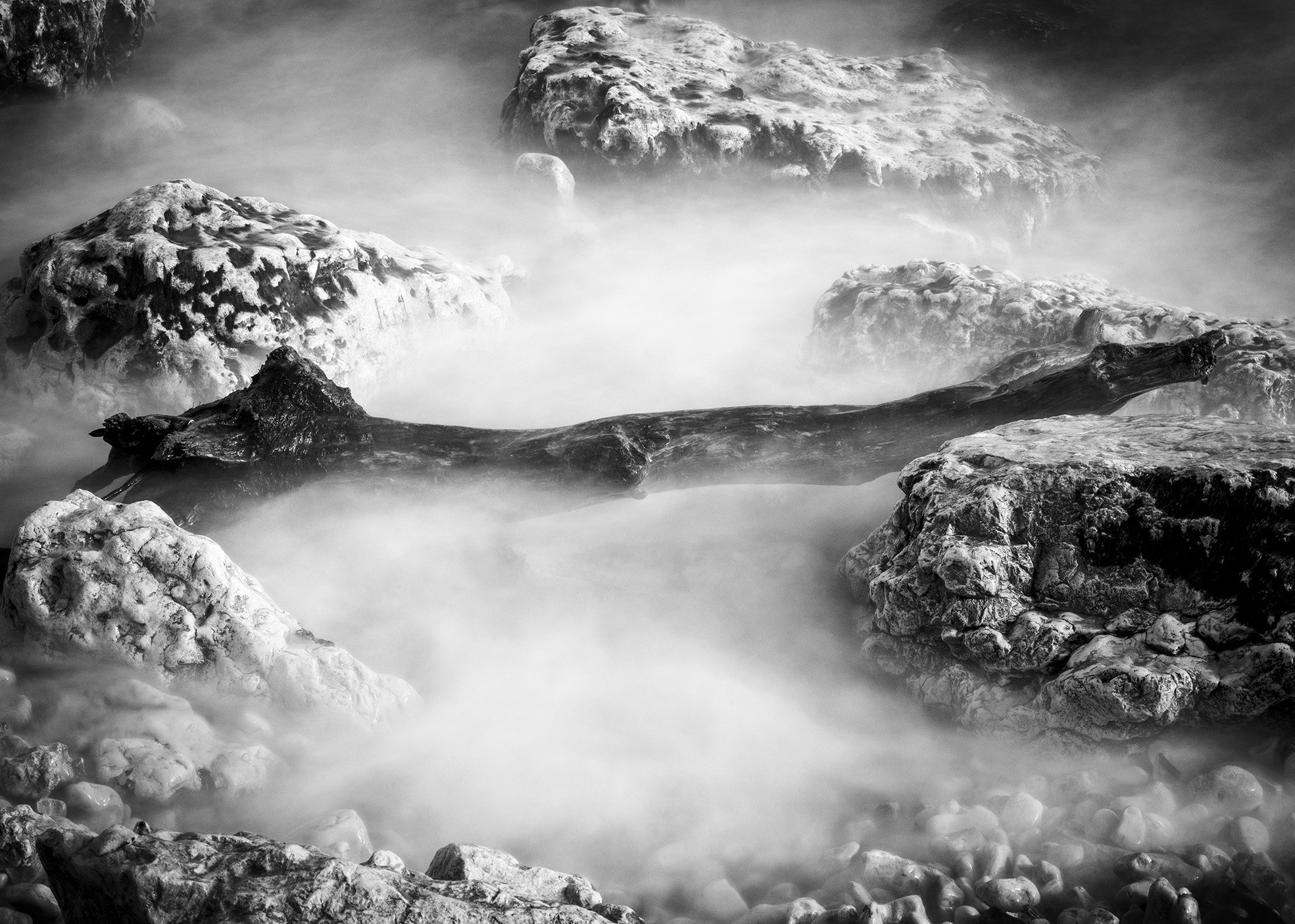 Log & Stones Study 