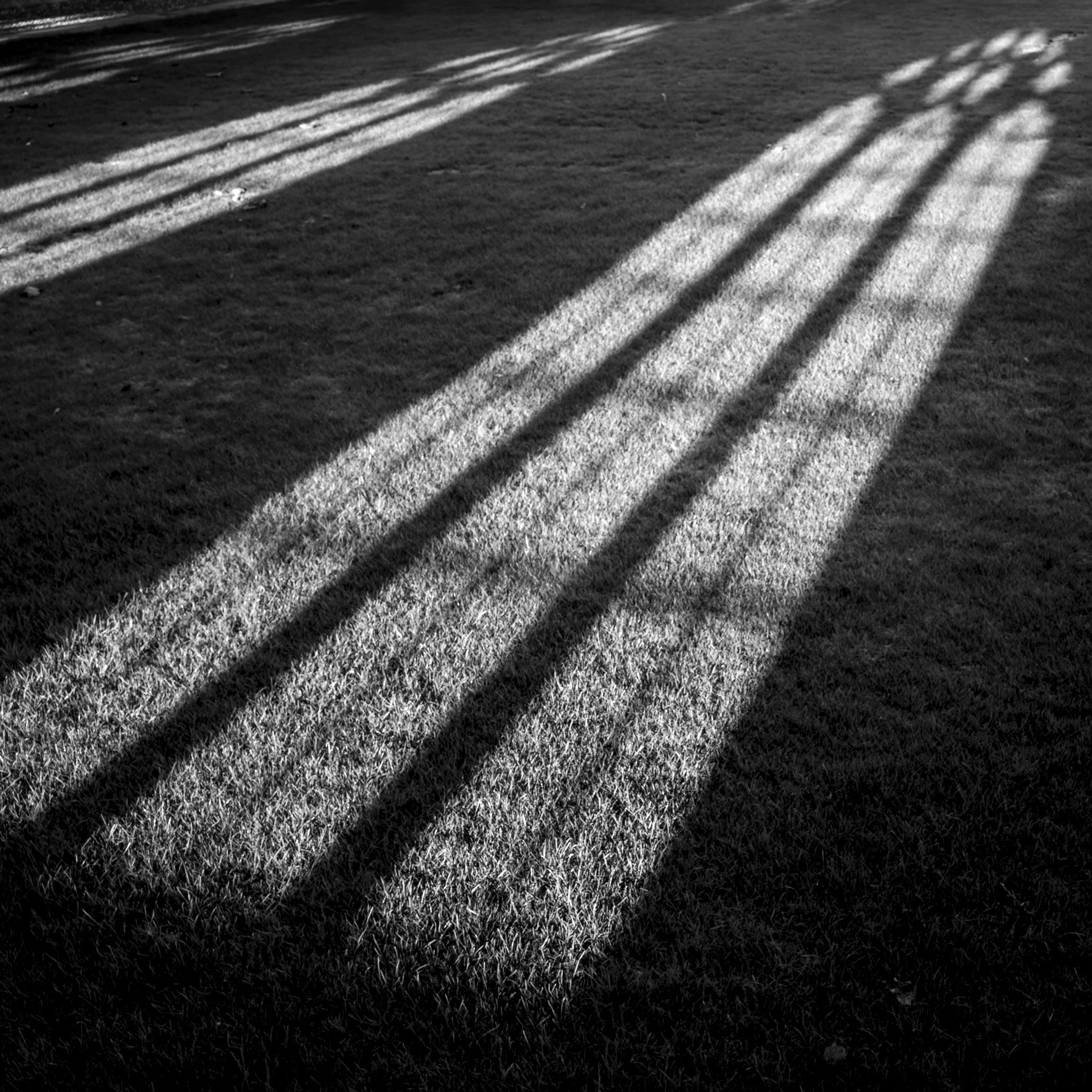 St Johns Collage - Cambridge 