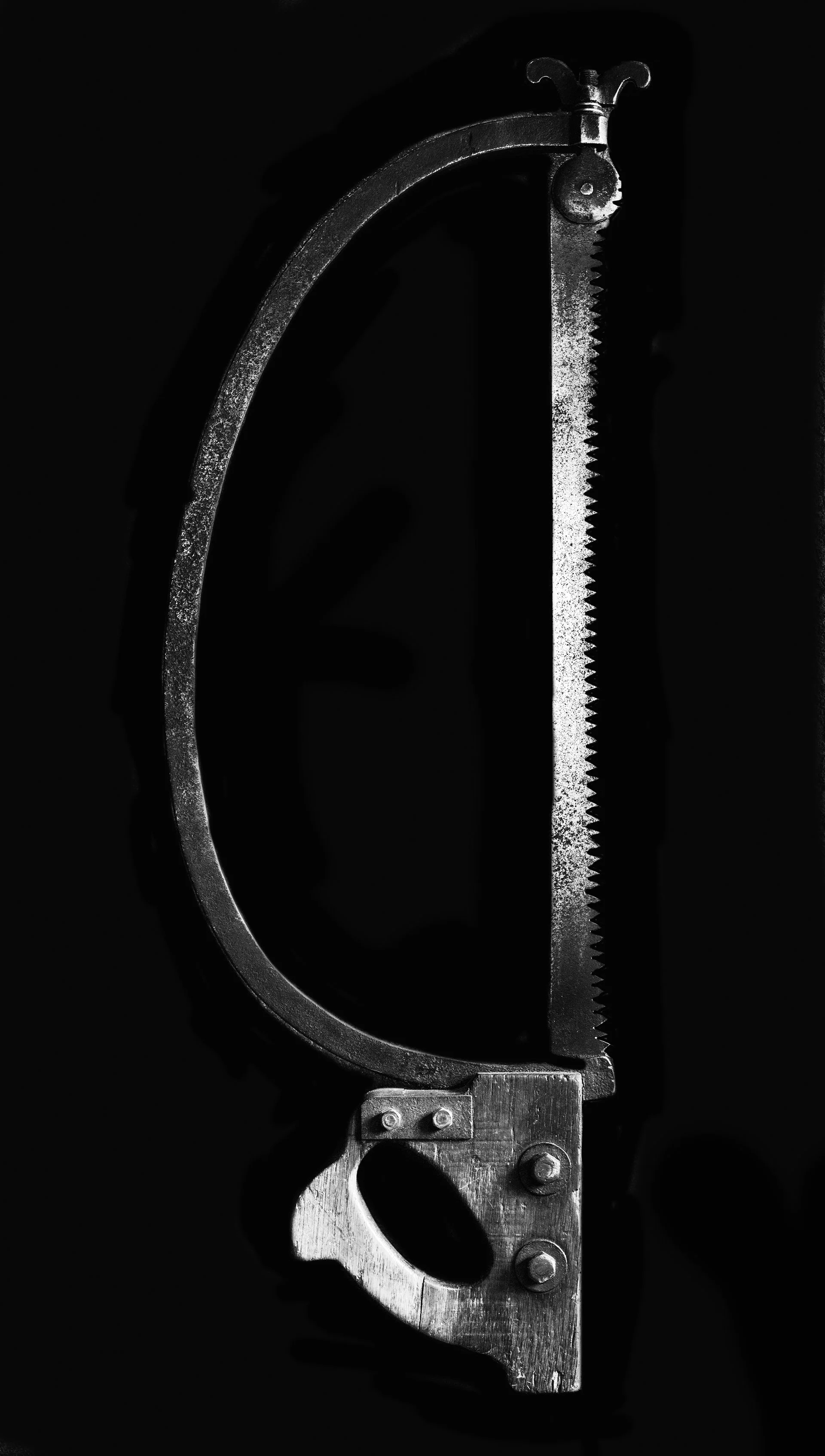 Wood Saw 2.jpg