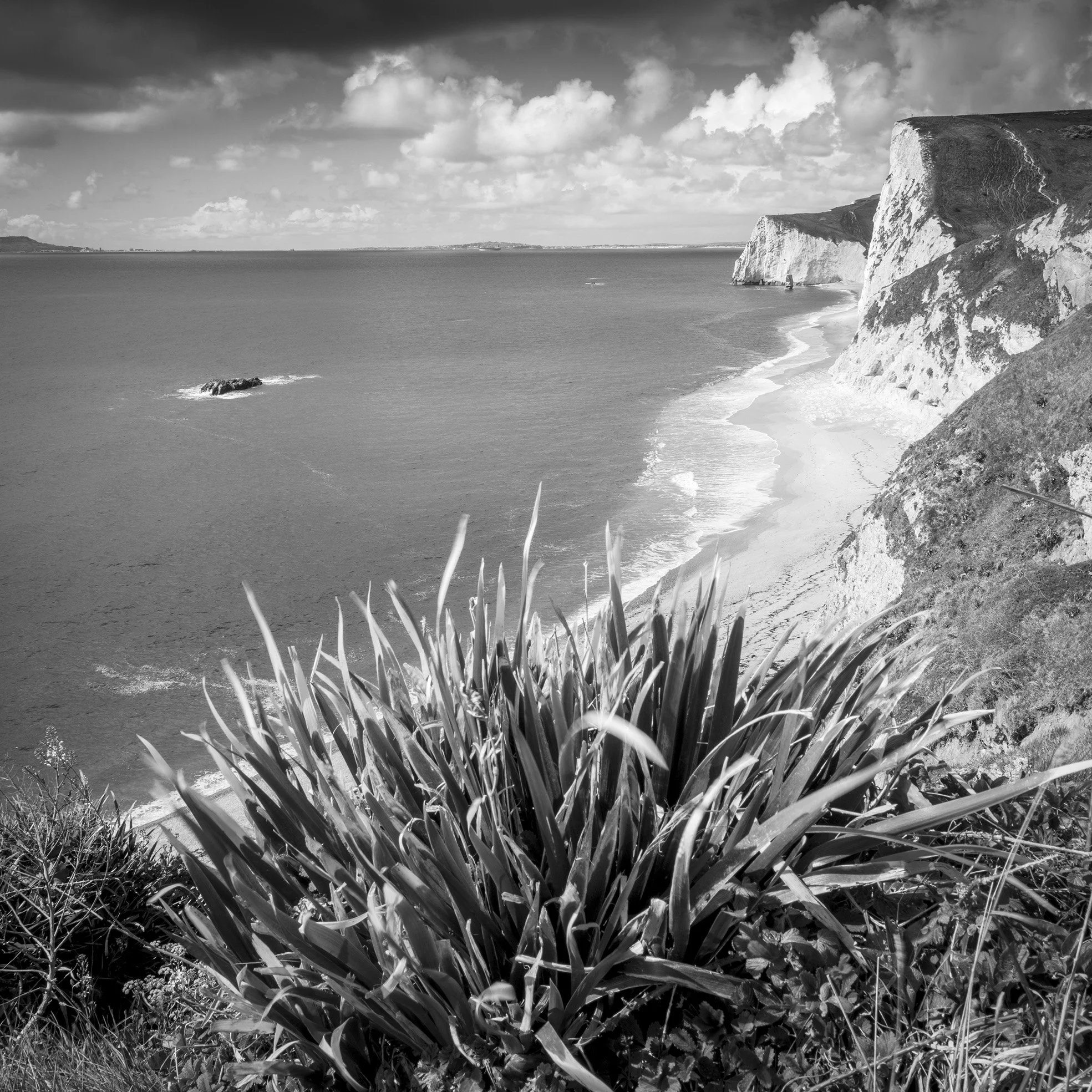 Swyre Head - Dorset 