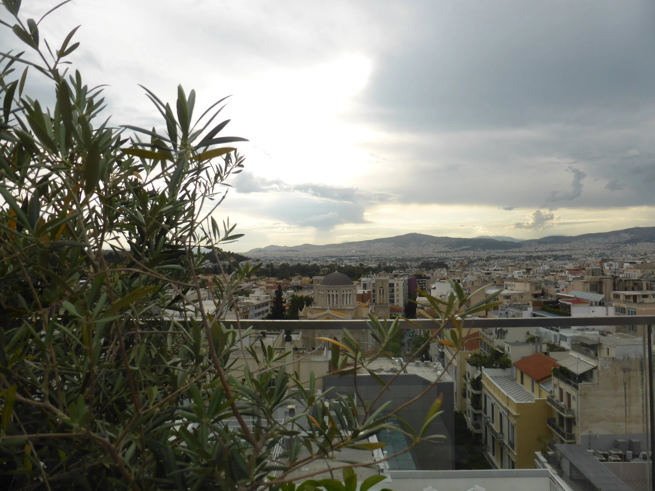 P1080325.JPG