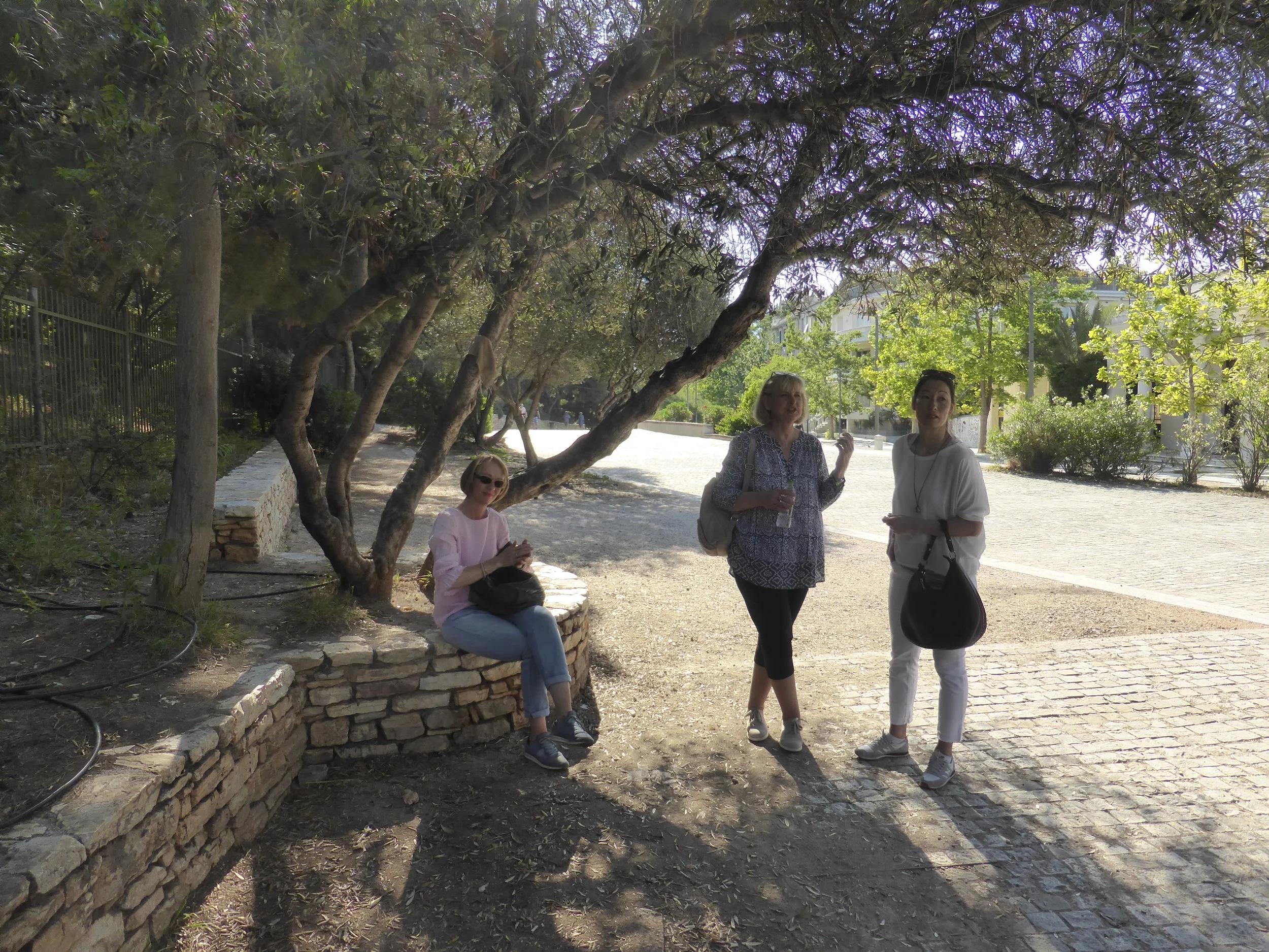 P1080427.JPG