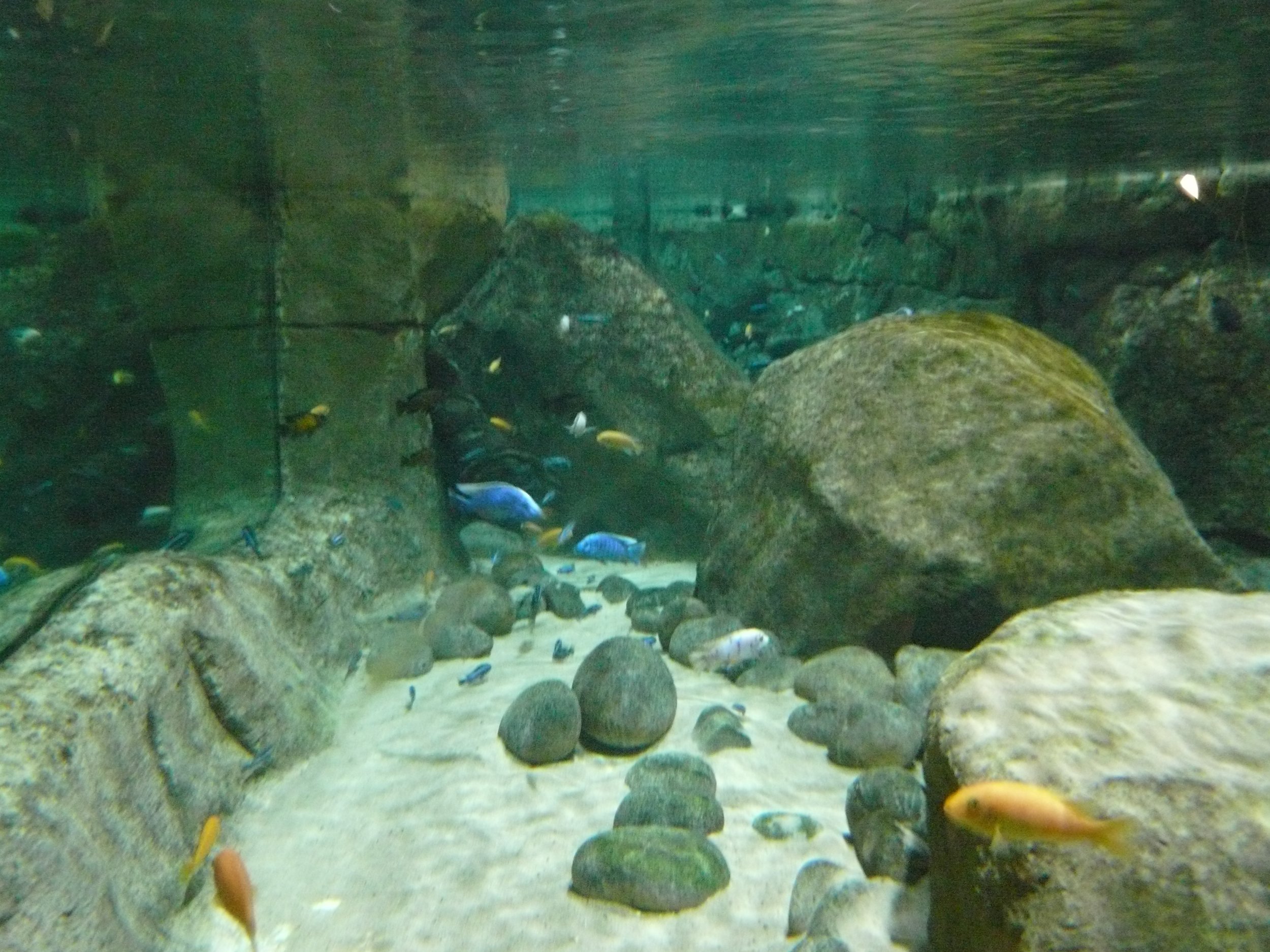 P1020750.JPG