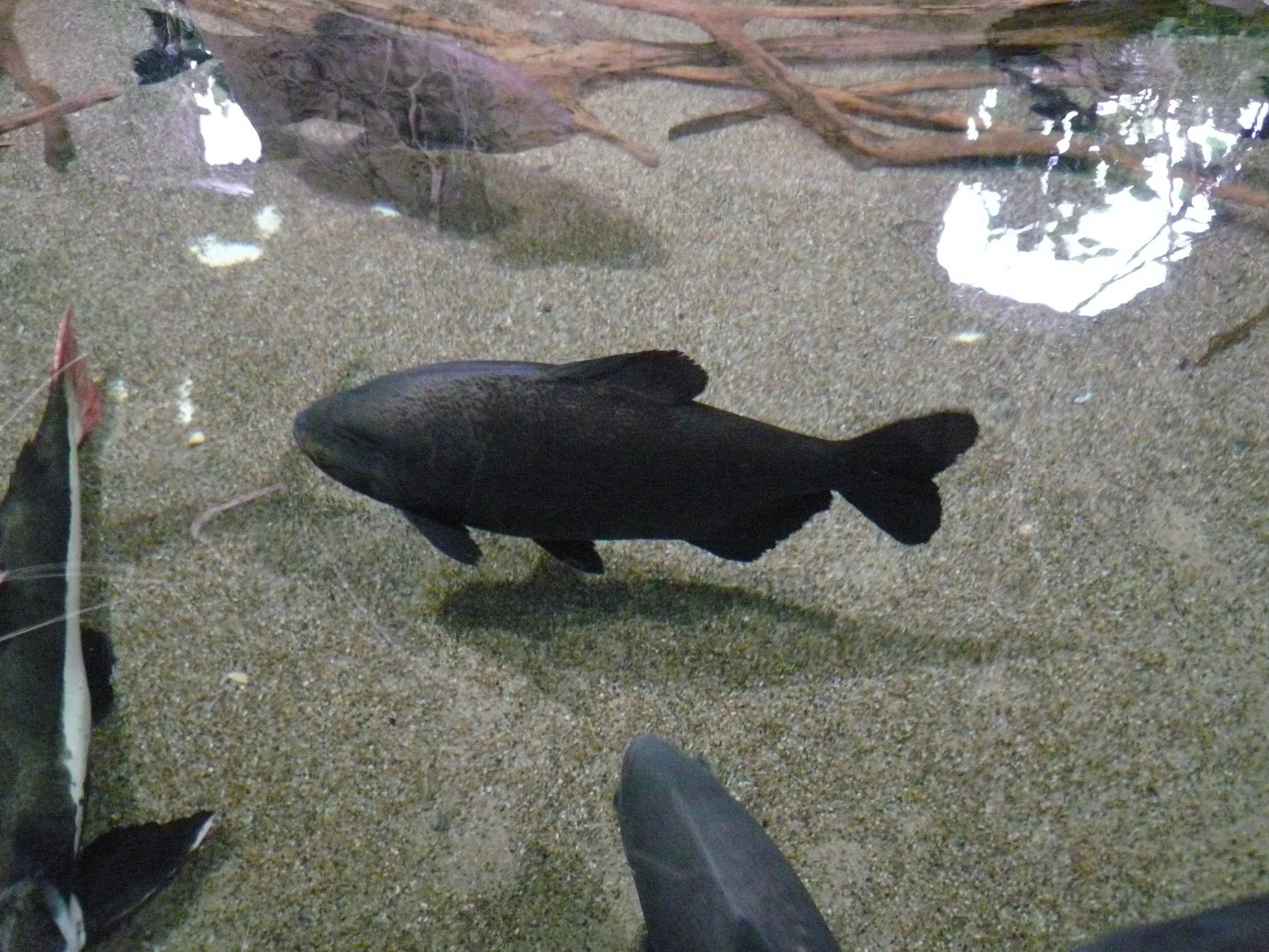 P1020753.JPG