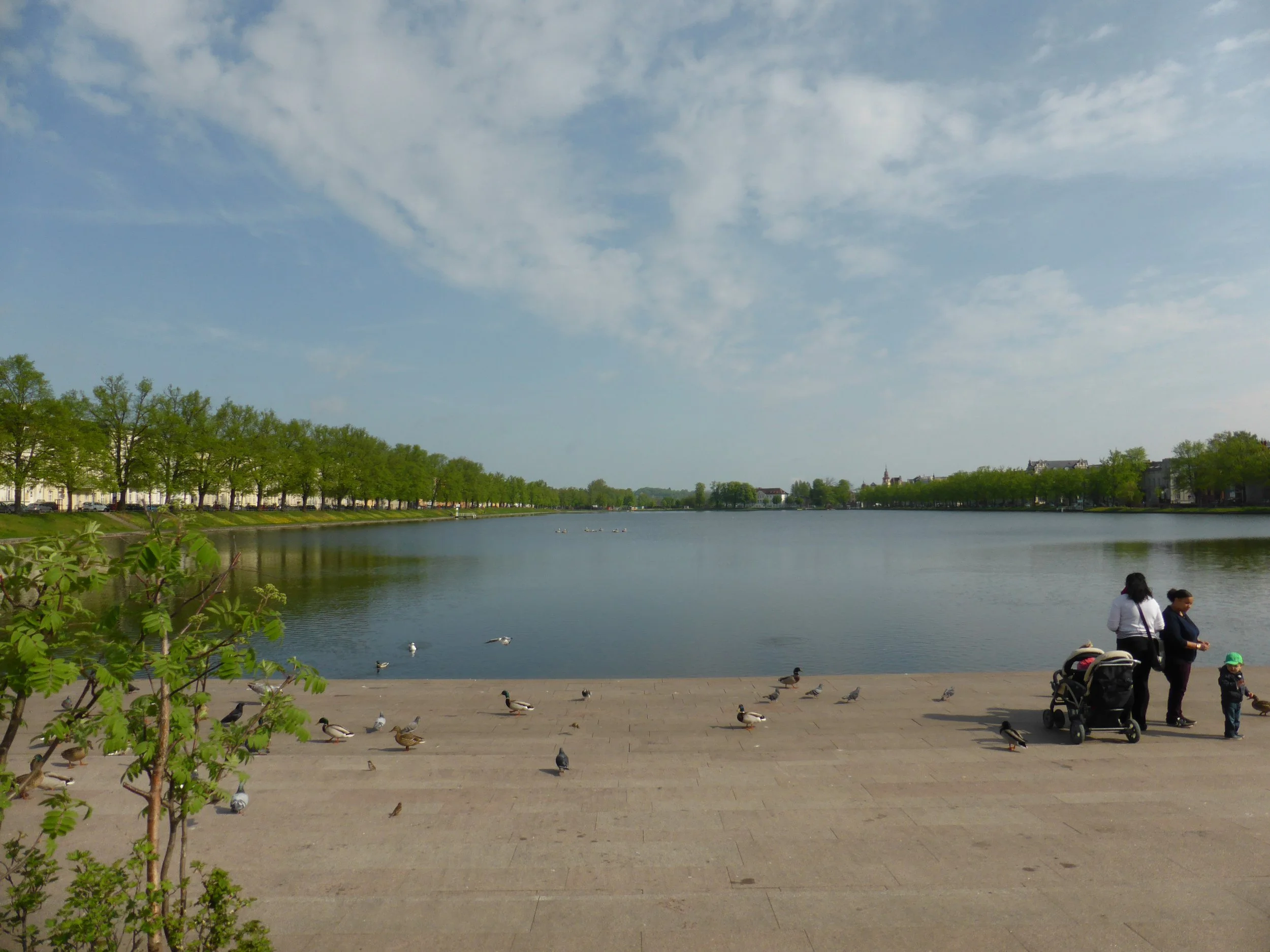 P1000067.JPG
