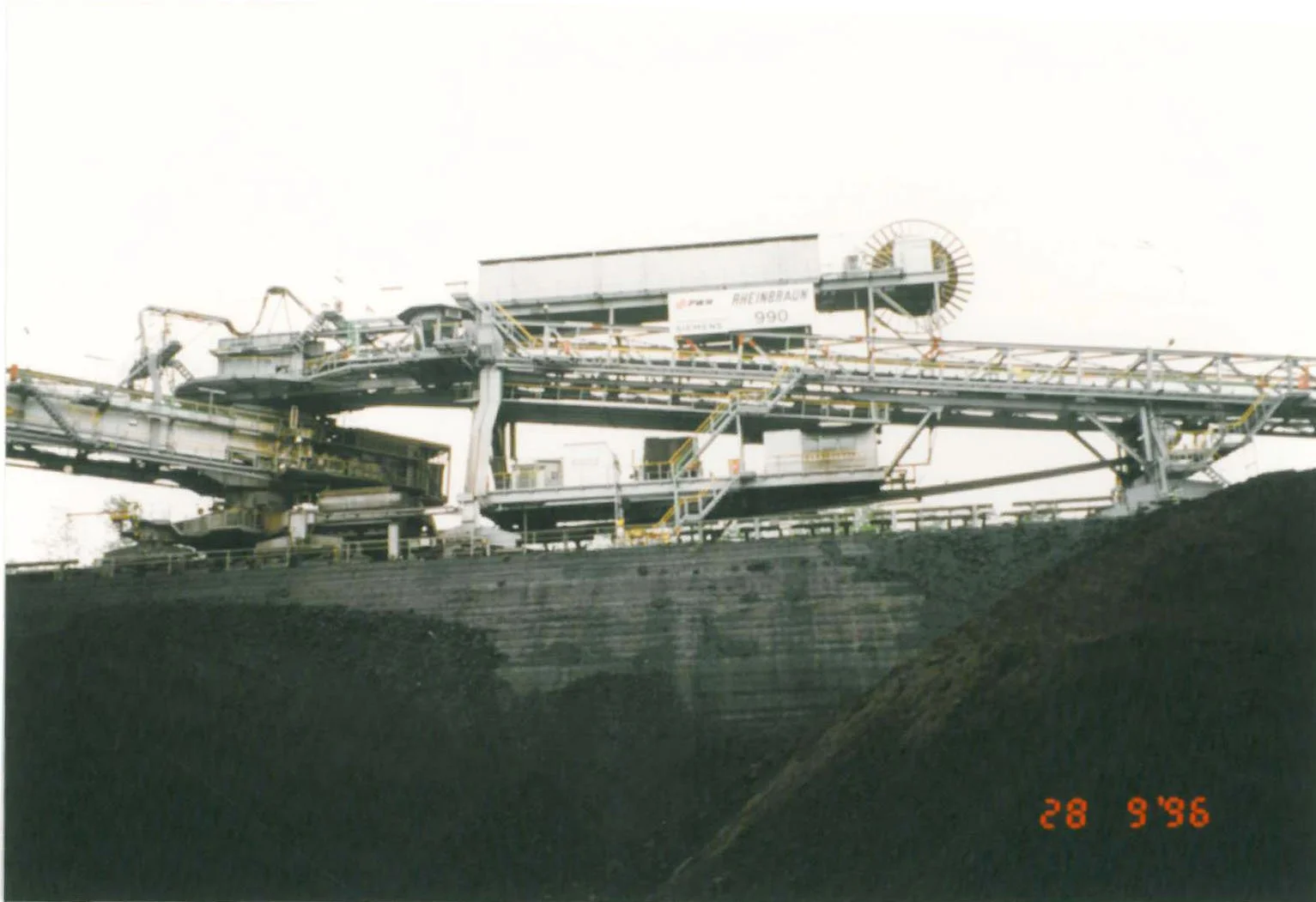 garzweillerii_28091996_09_16042328590_o.jpg