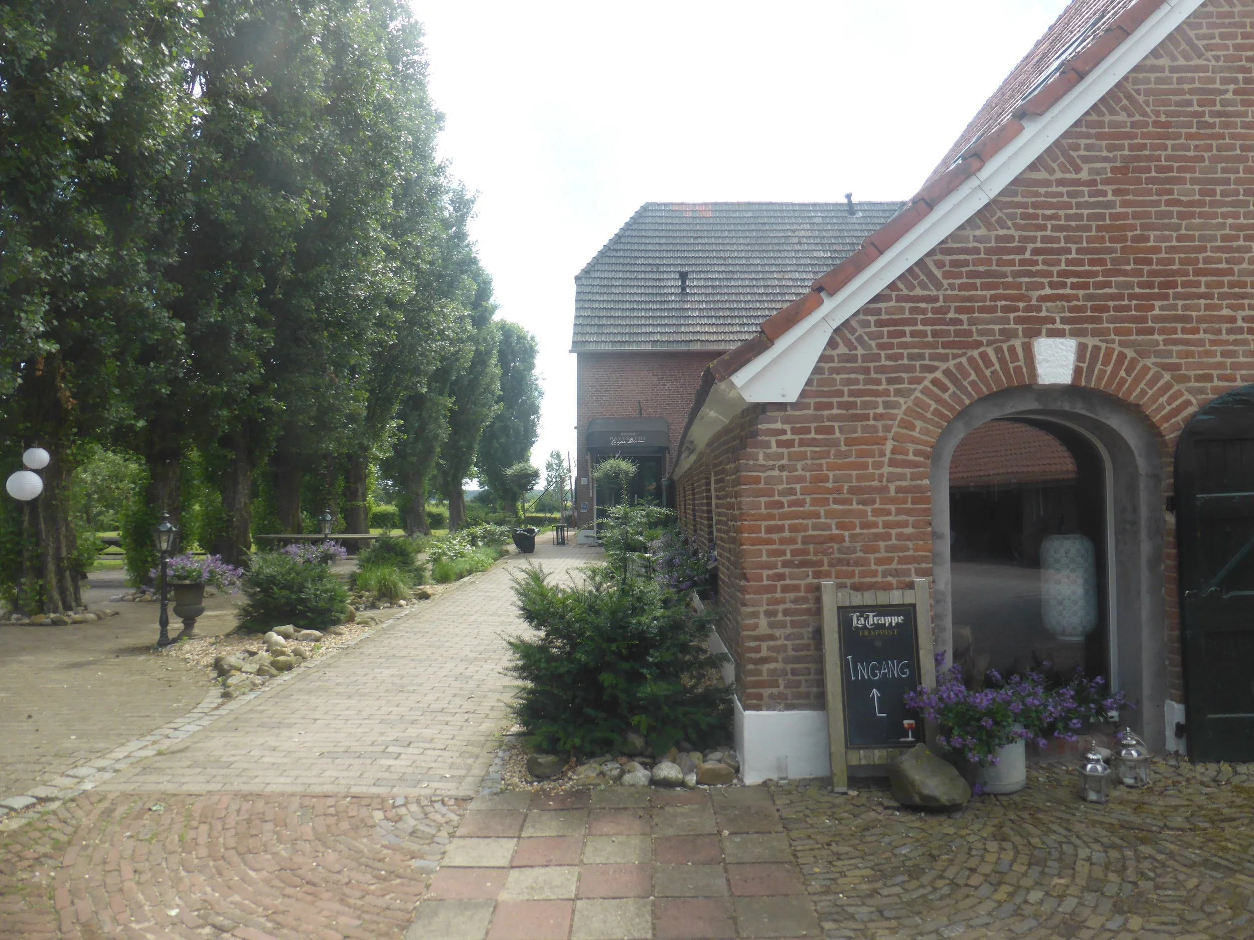P1110179.JPG