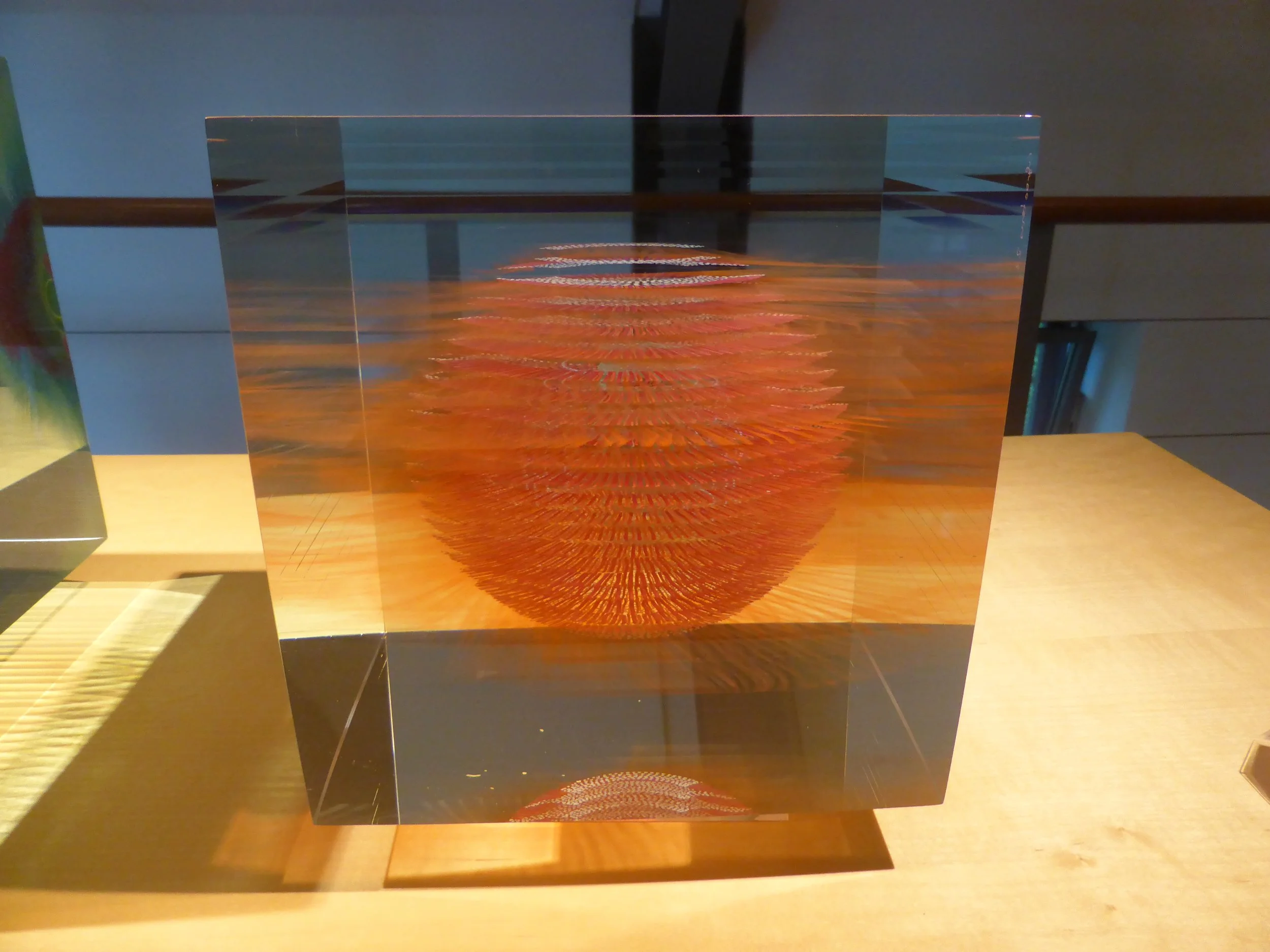 P1110500.JPG