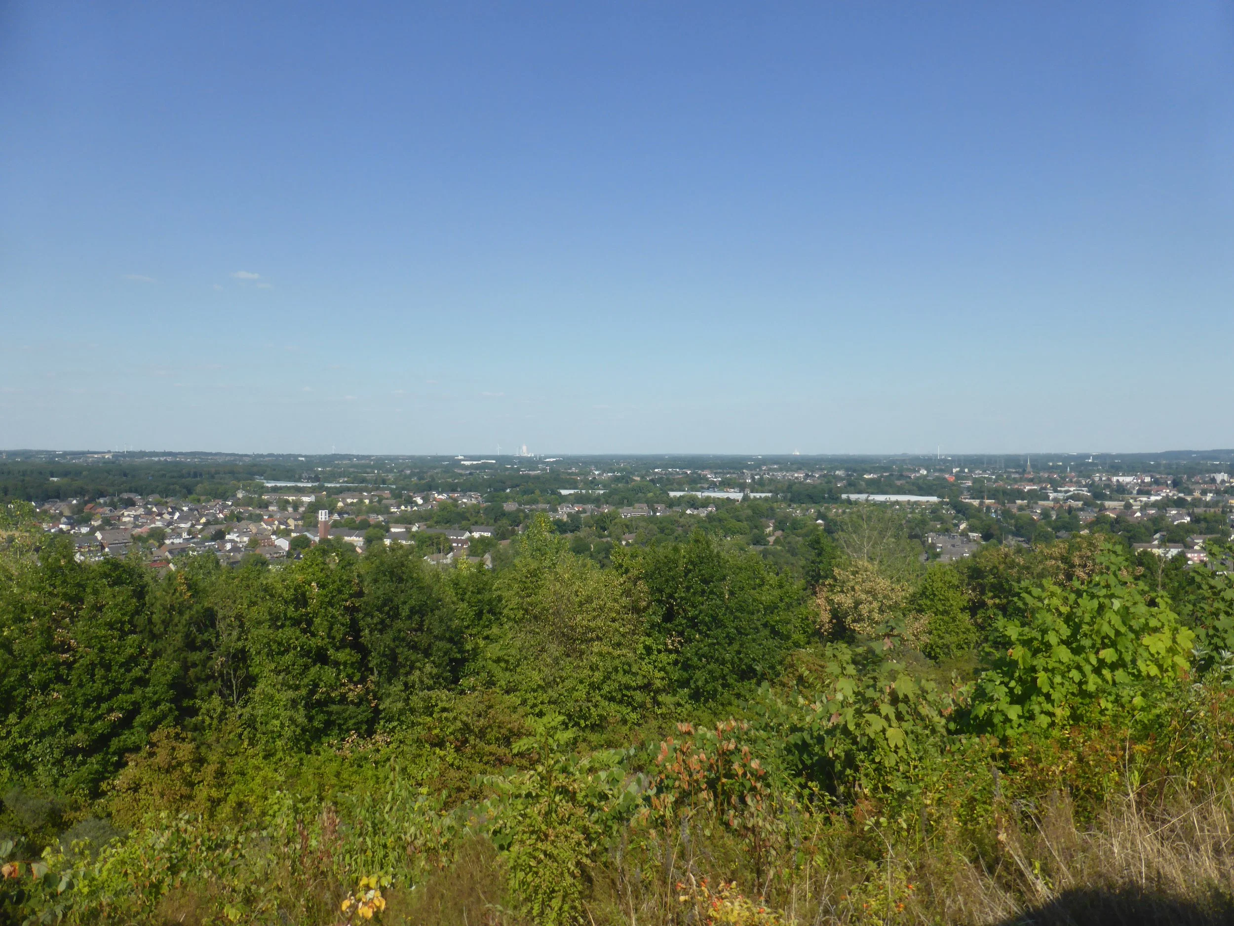 P1110348.JPG
