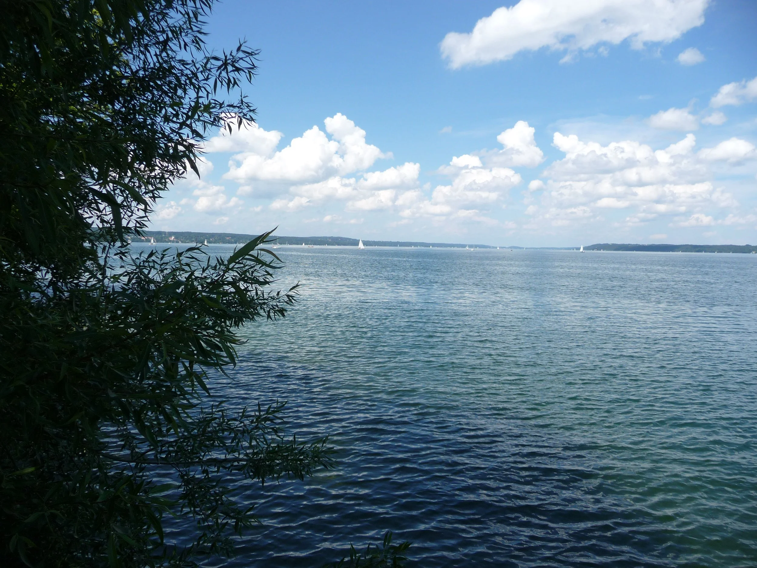 p1020117_7453417436_o.jpg