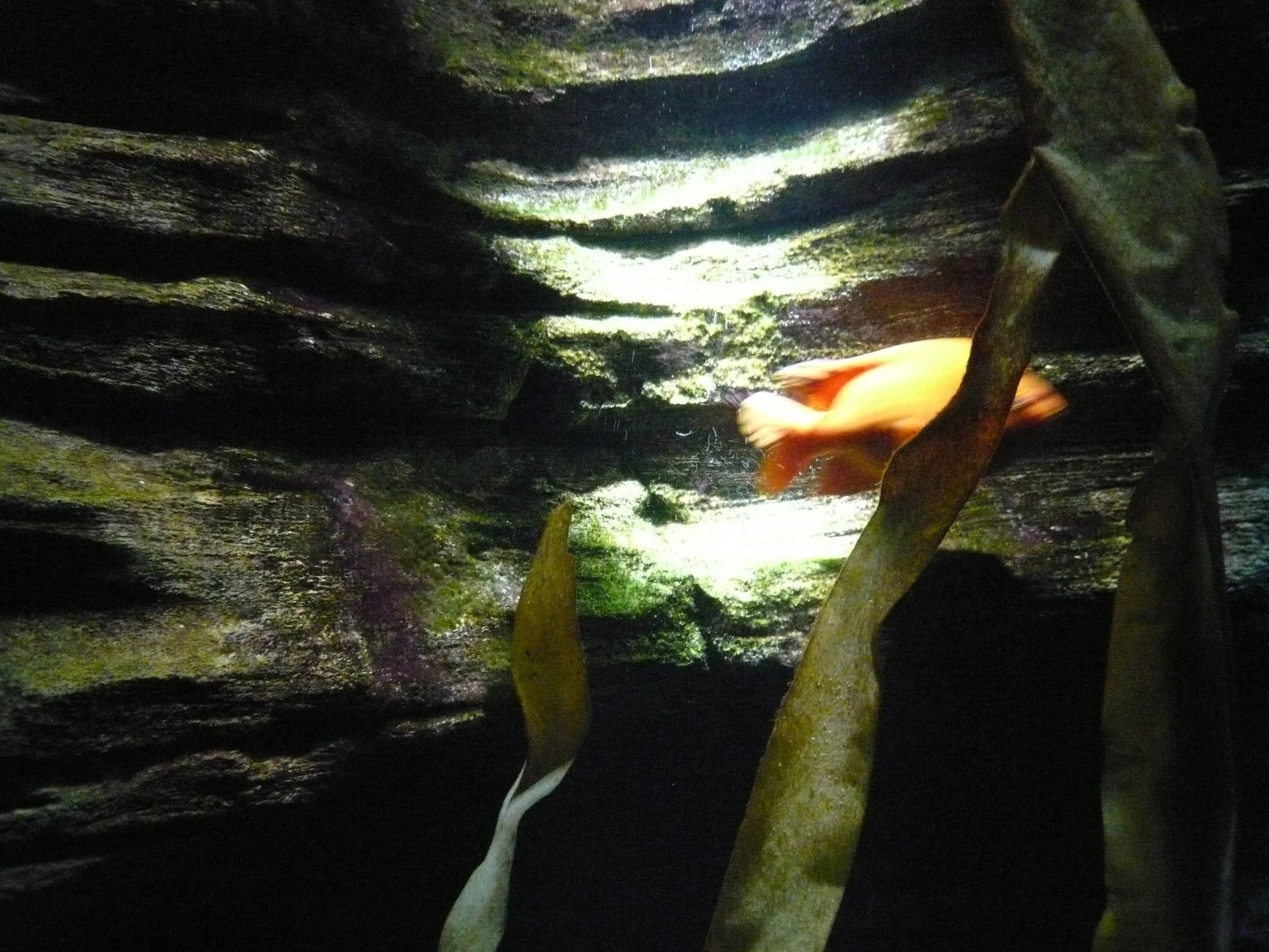 P1020751.JPG