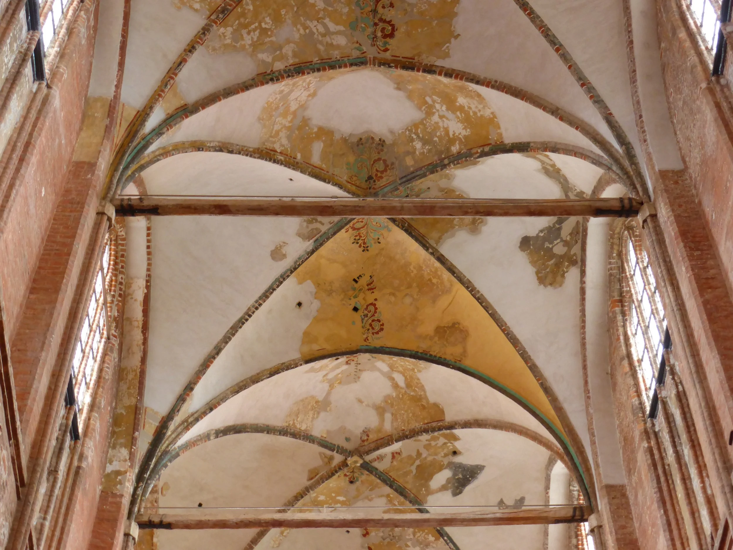 P1000215.JPG