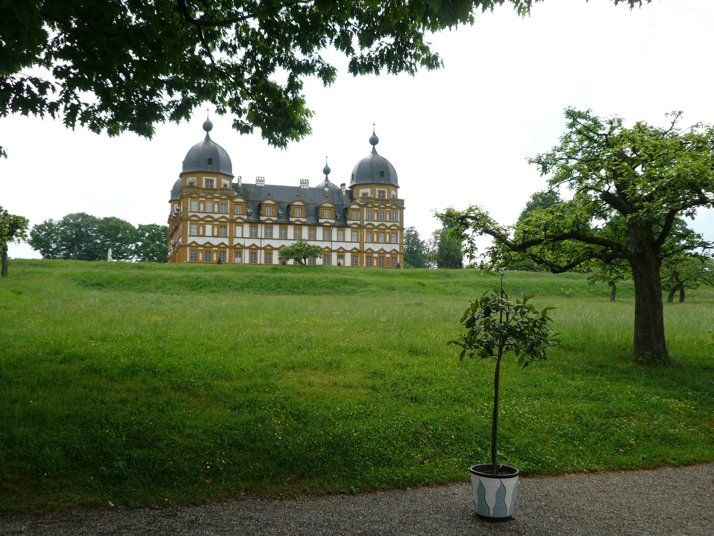 P1010351.JPG