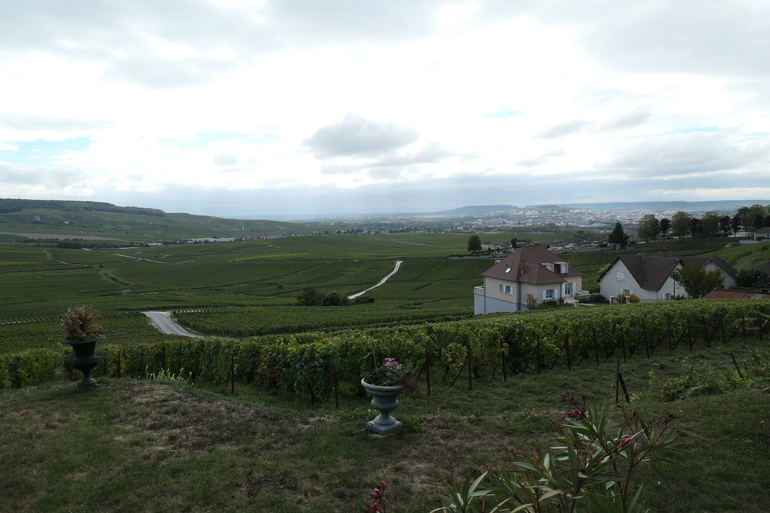 P1000367.JPG