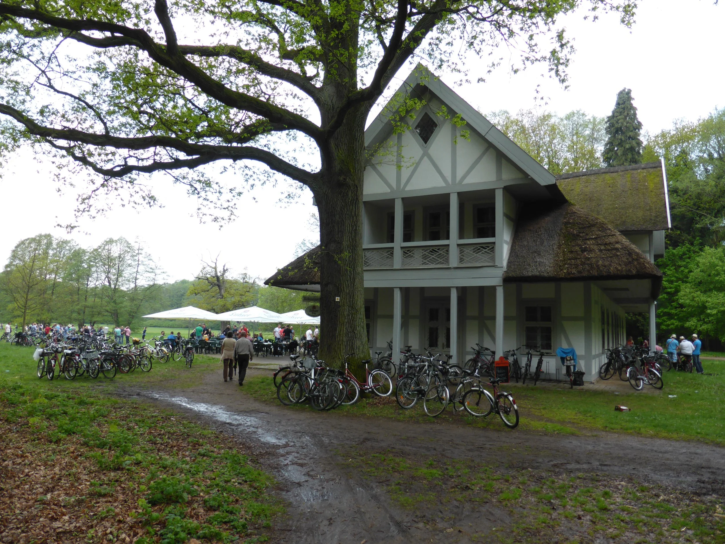 P1000034.JPG