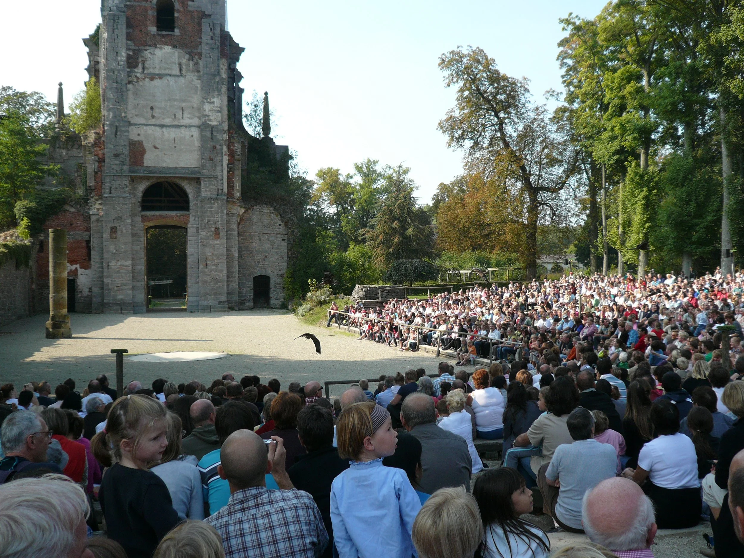 P1020739.JPG