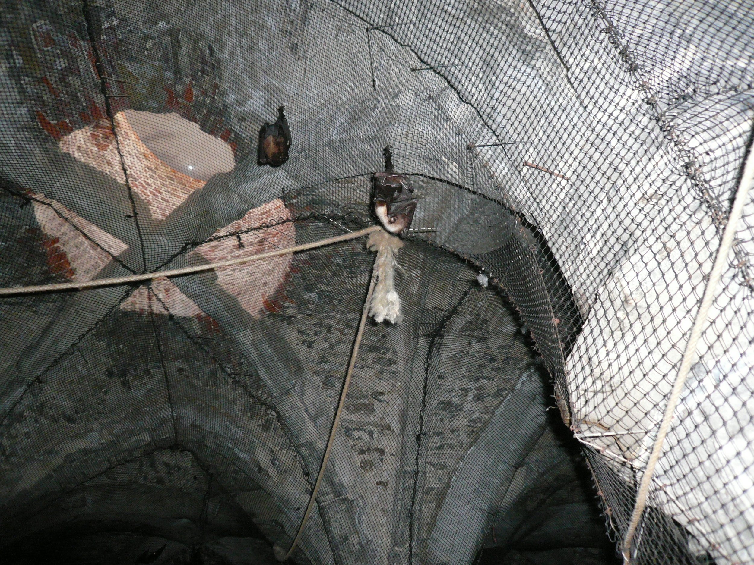 P1020721.JPG