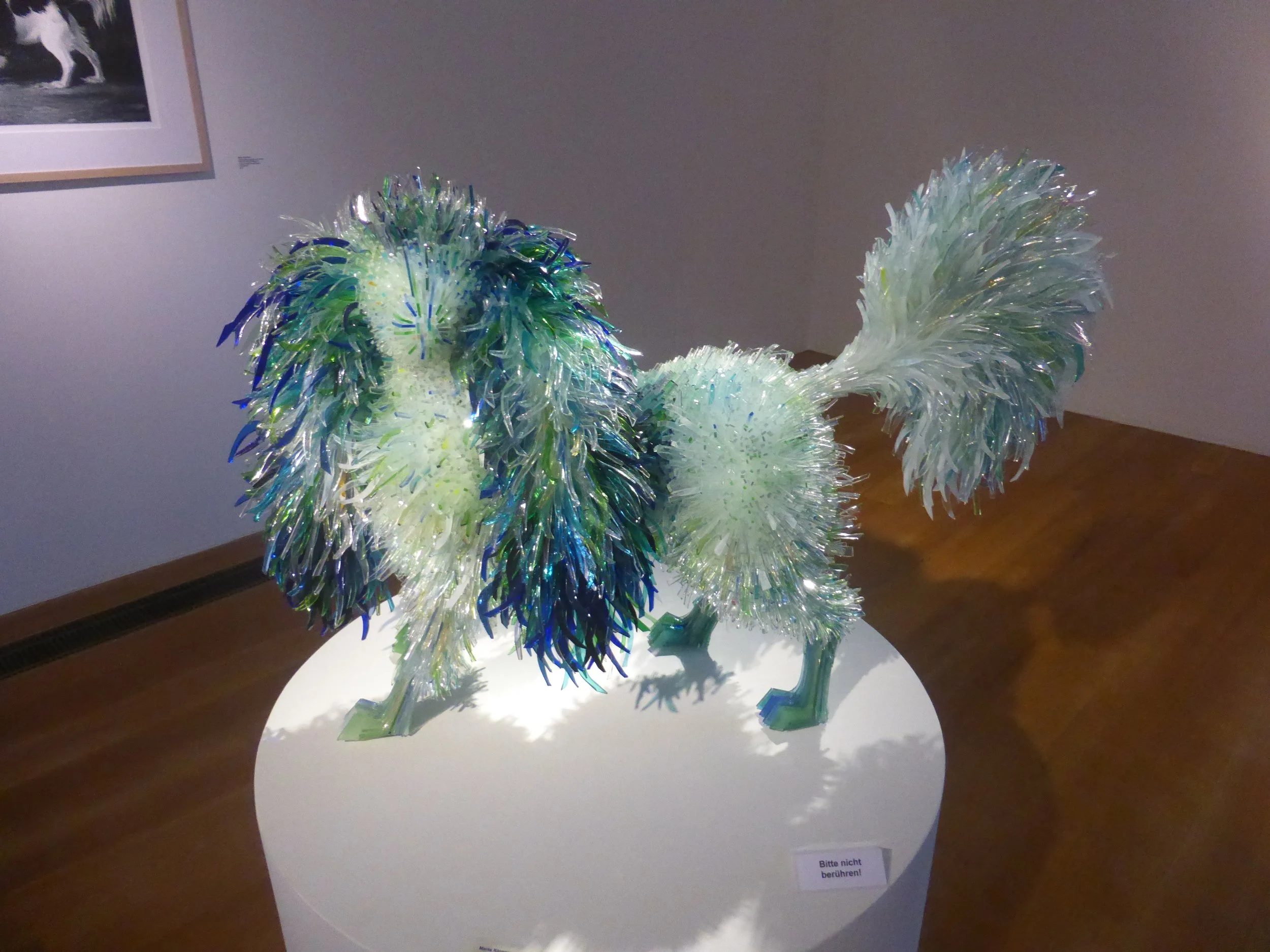 P1110479.JPG