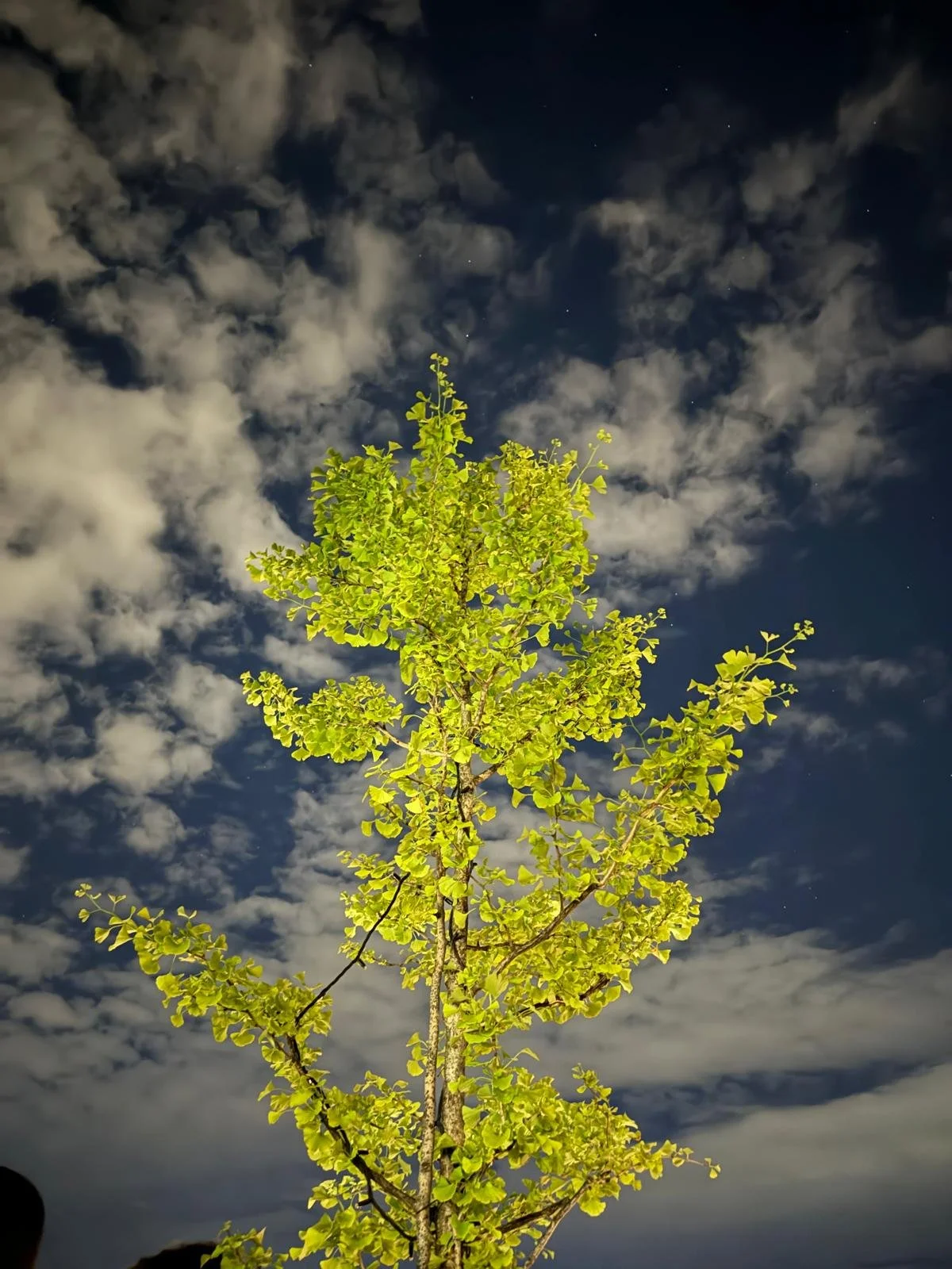 IMG-20240606-WA0264.jpg