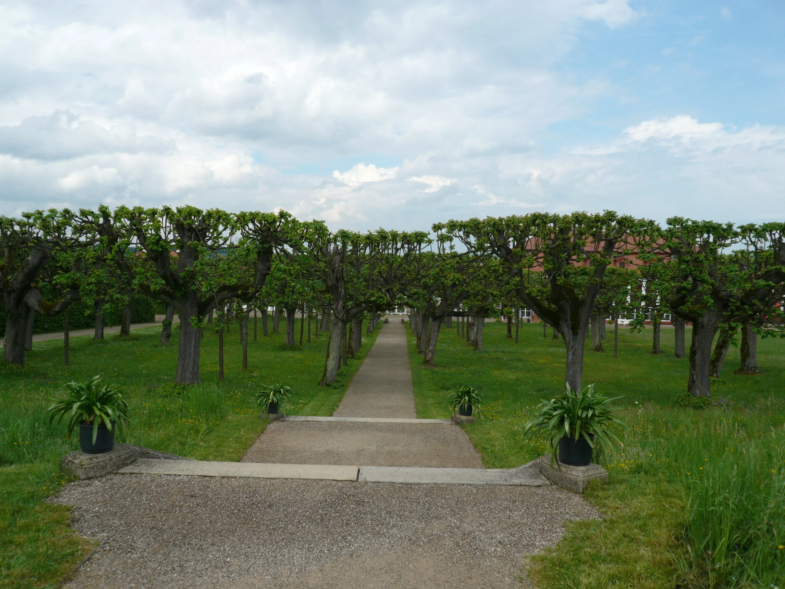 P1010356.JPG