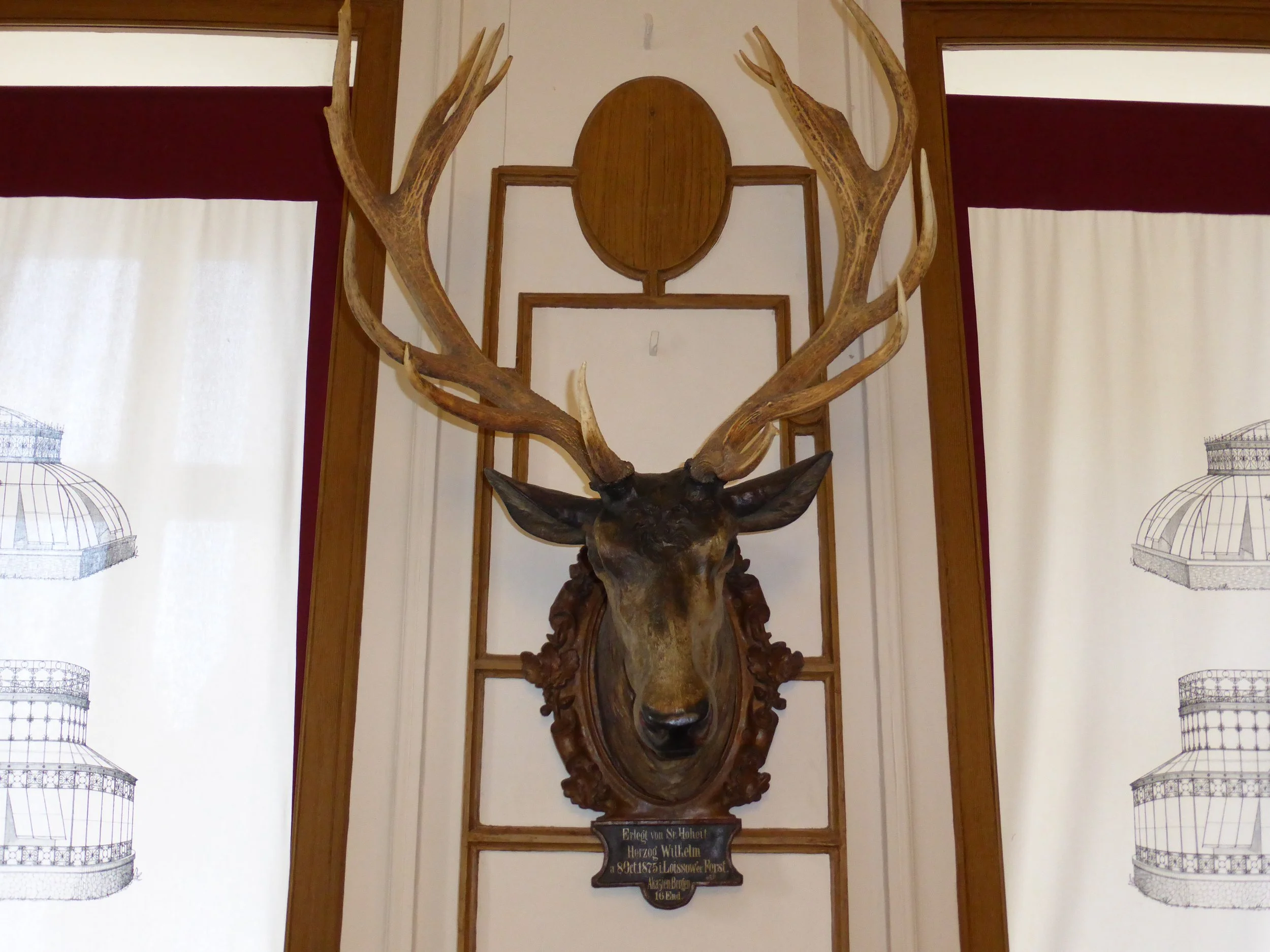 P1000030.JPG