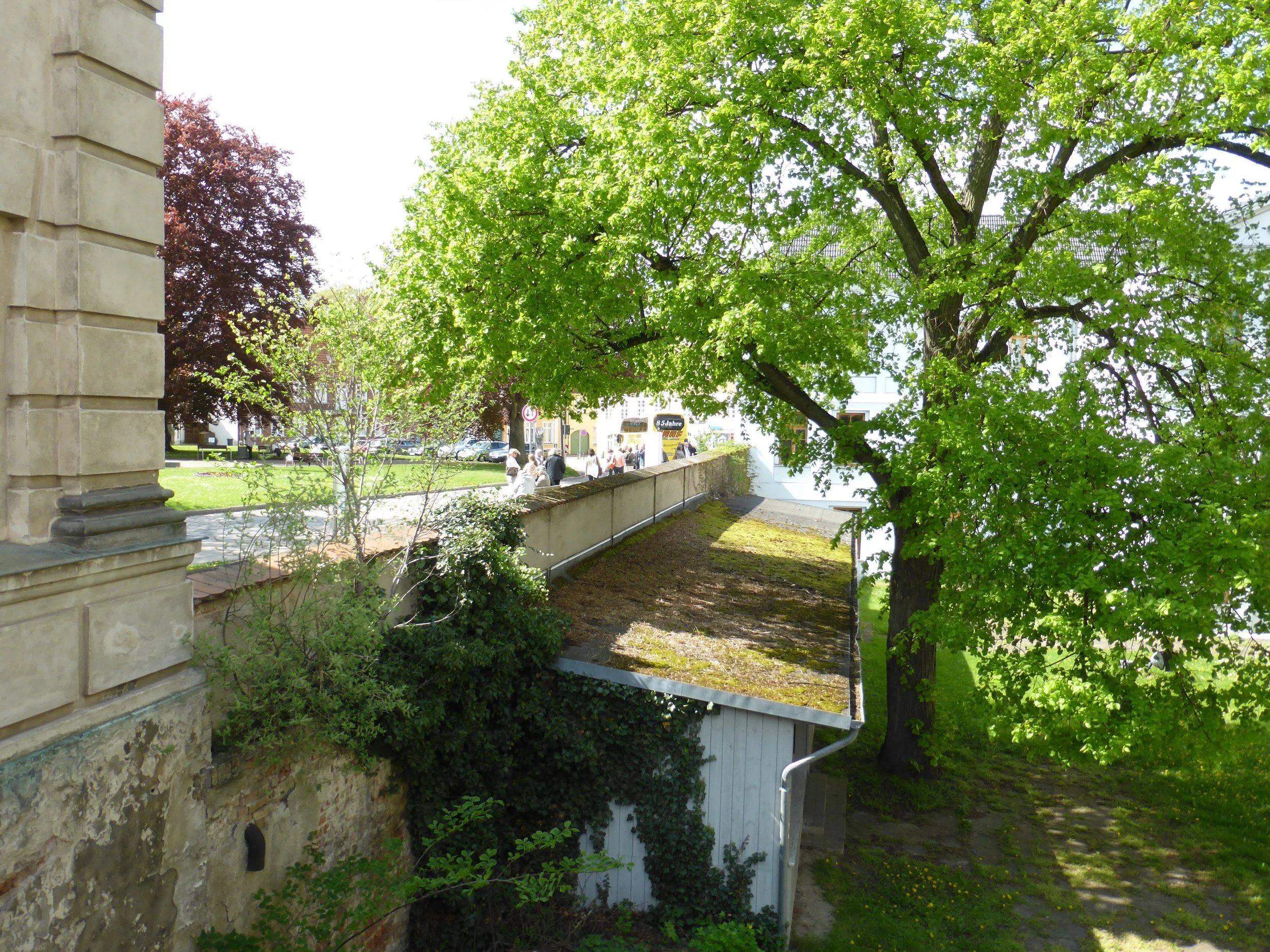 P1000151.JPG