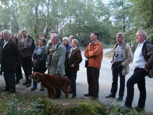 hirschbrunft-am-26092012_7248656948_o.jpg
