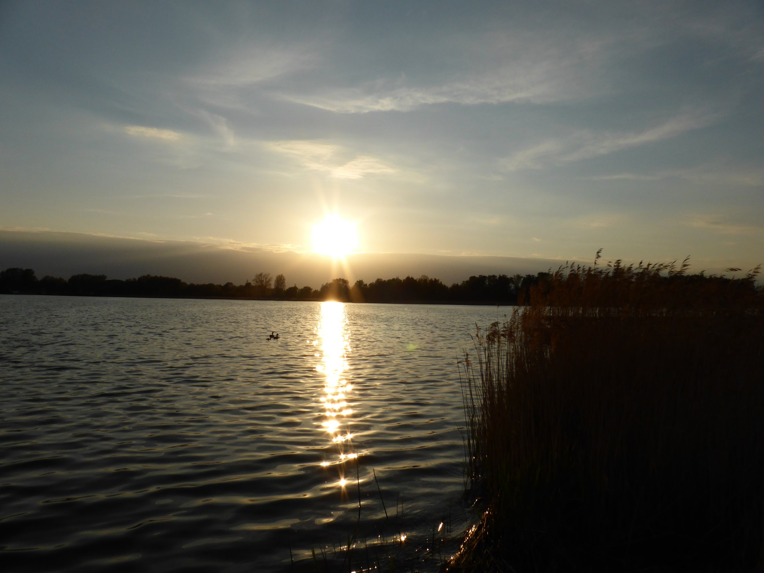 P1000176.JPG