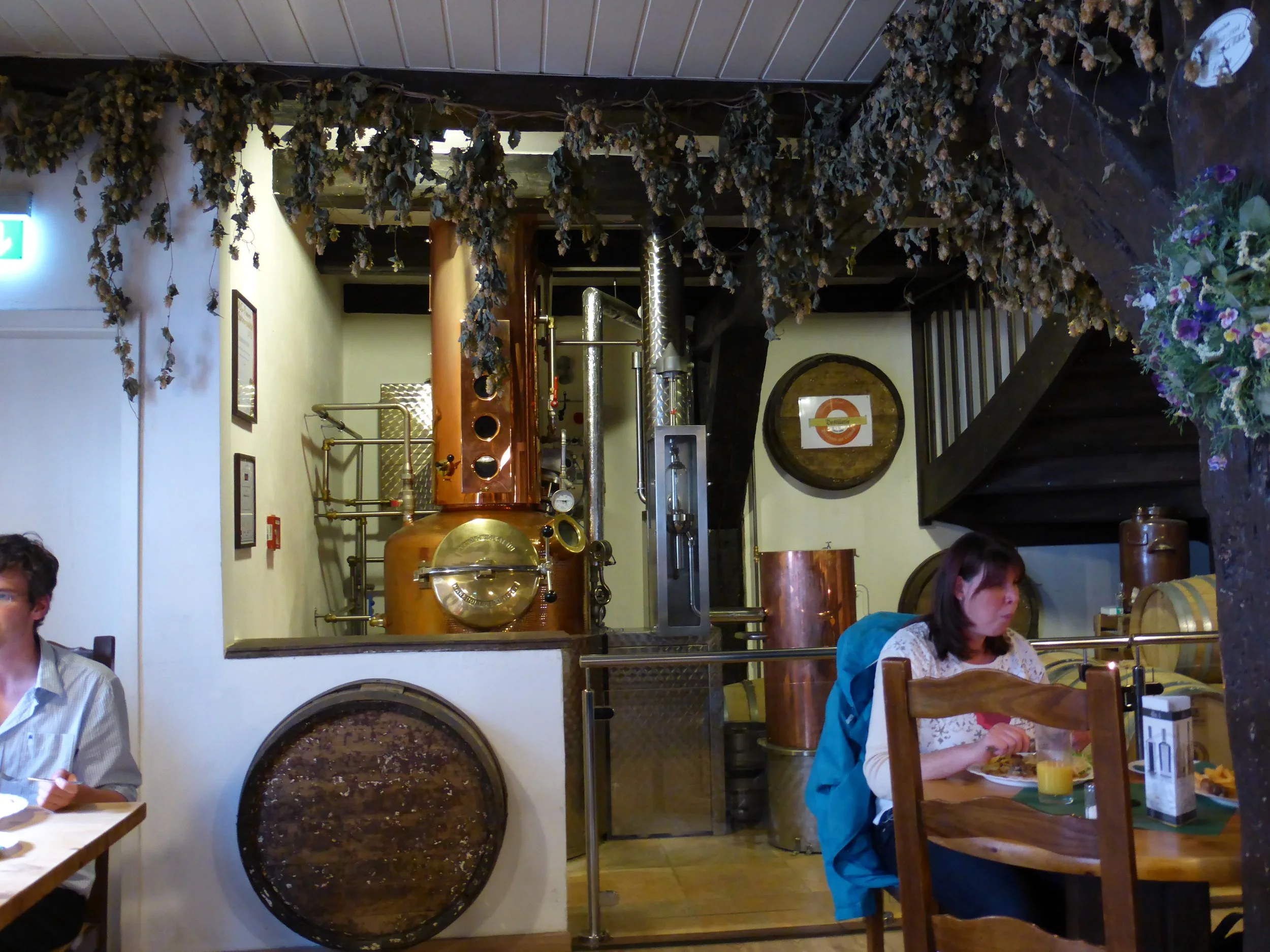 P1000226.JPG