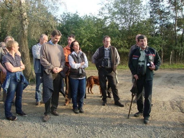hirschbrunft-am-26092012_7248657630_o.jpg
