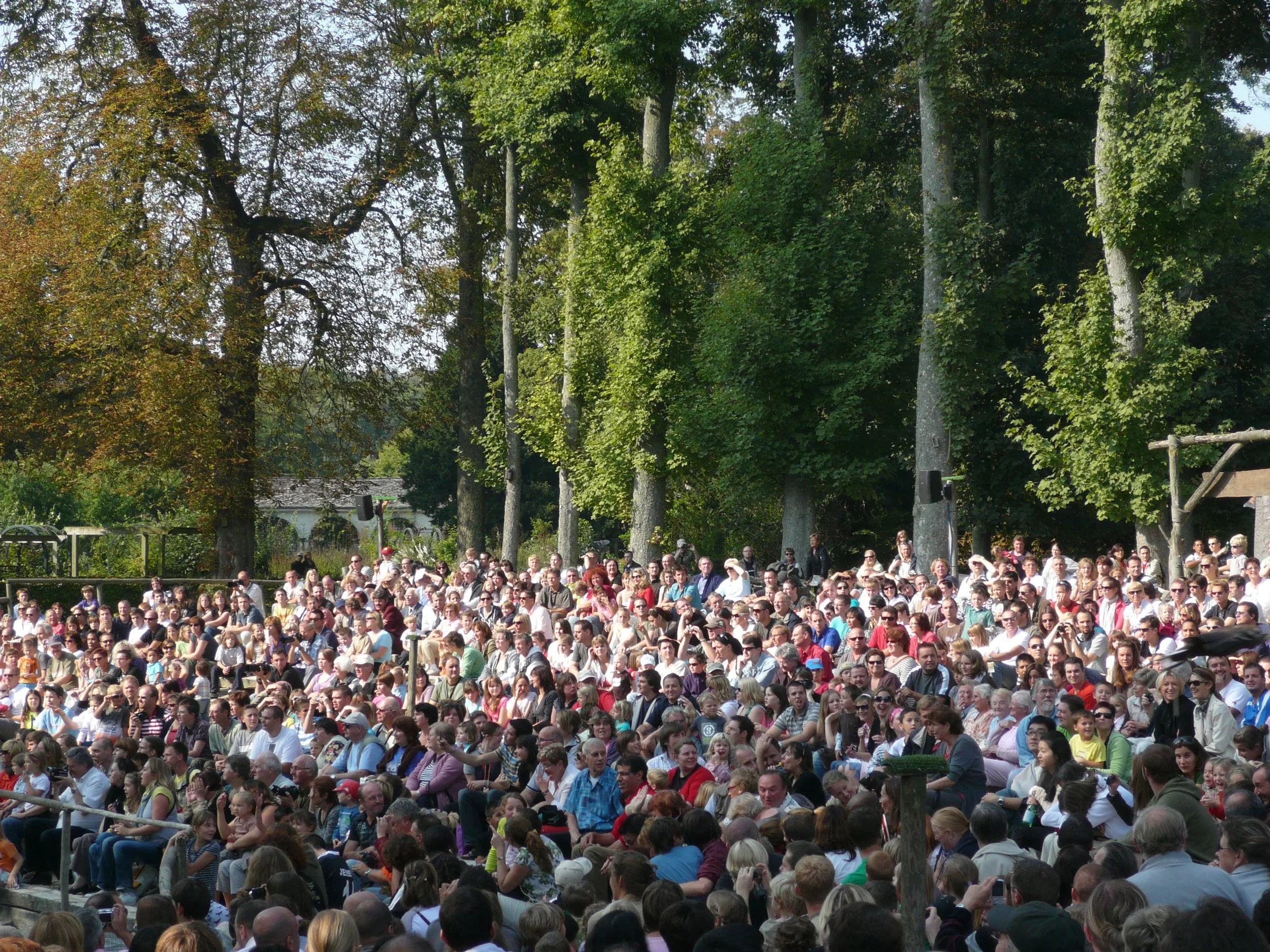 P1020733.JPG