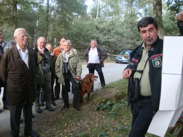 hirschbrunft-am-26092012_7248657918_o.jpg