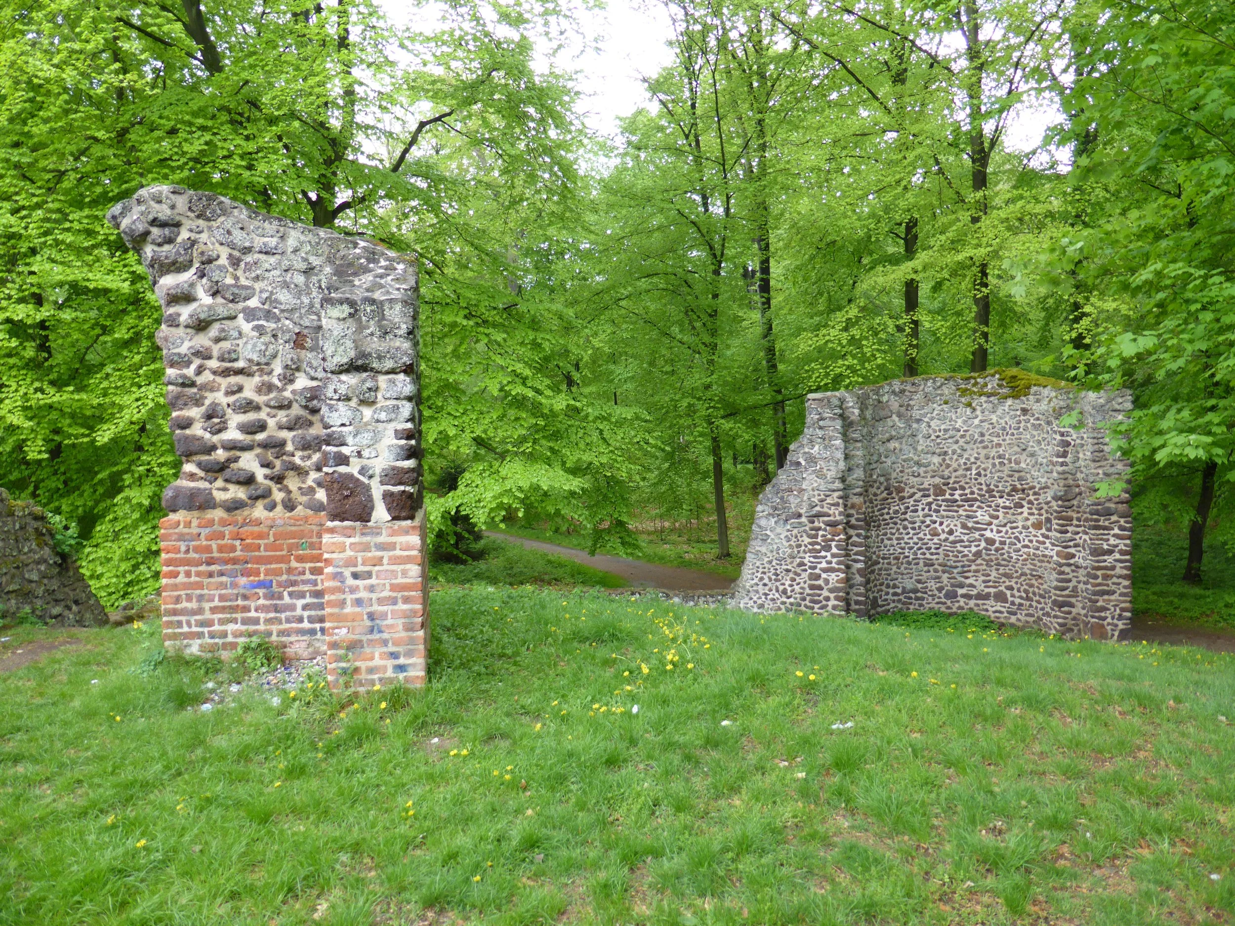 P1000037.JPG