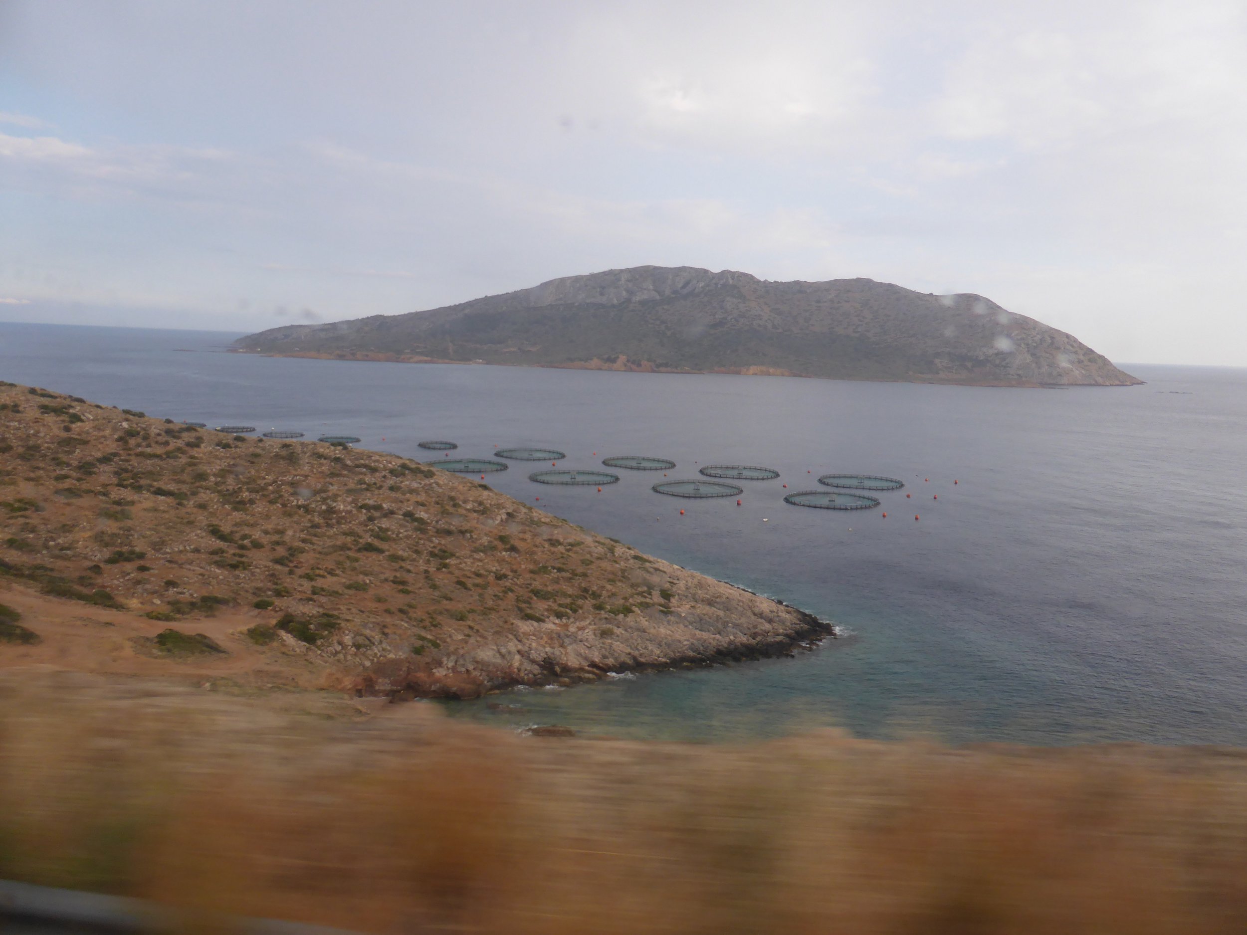 P1080405.JPG
