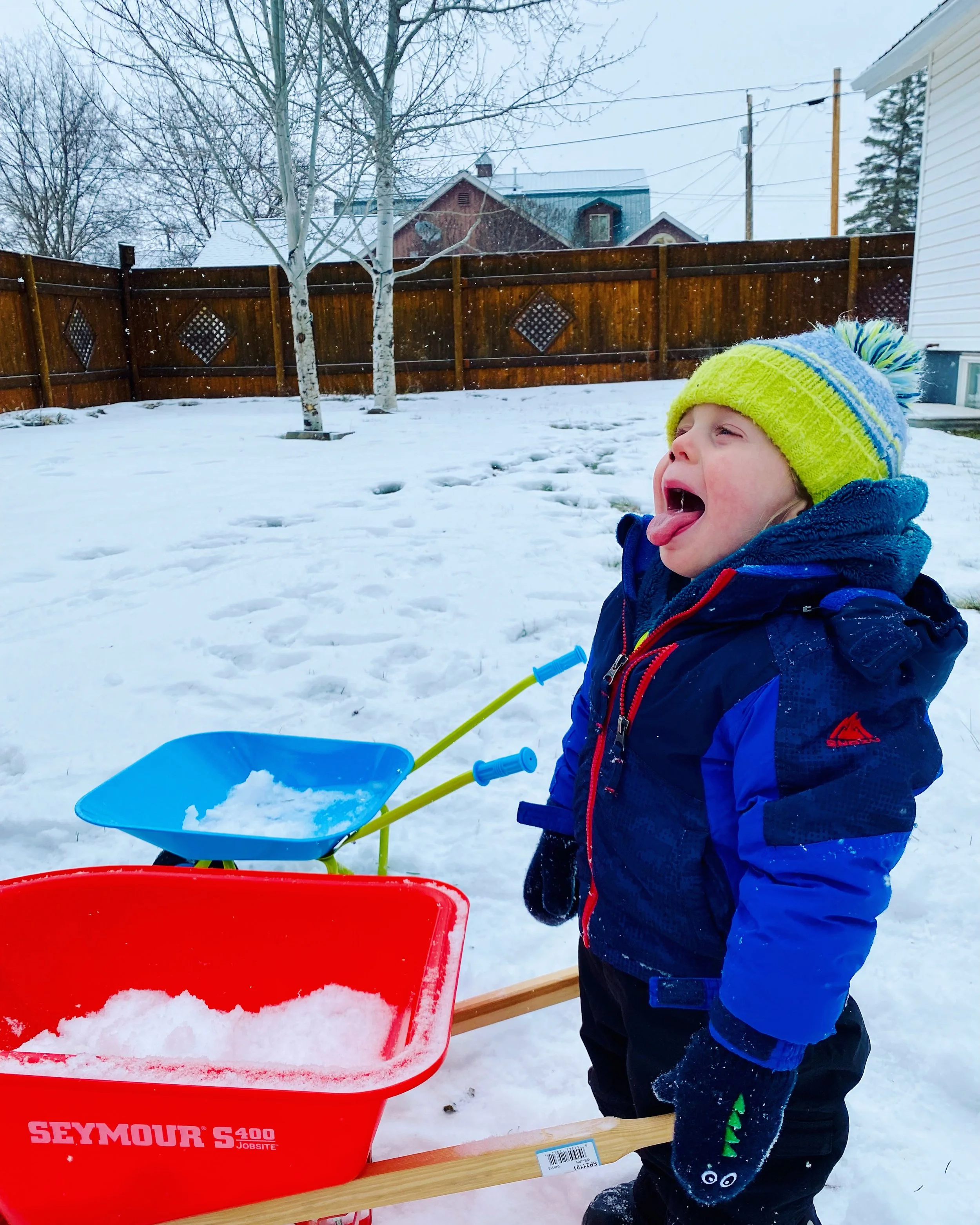 Why Play Matters- Growing Resilience, Joy, and Deep Learning