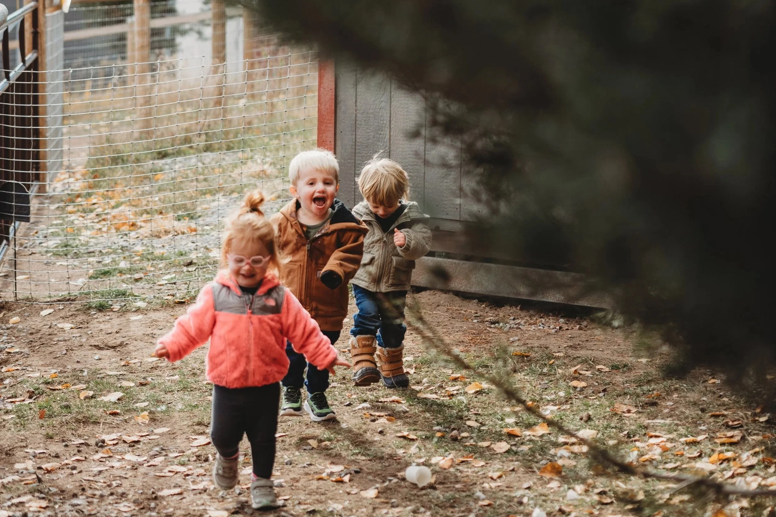 Growing Body, Spirit, and Belonging in the Moon Garden