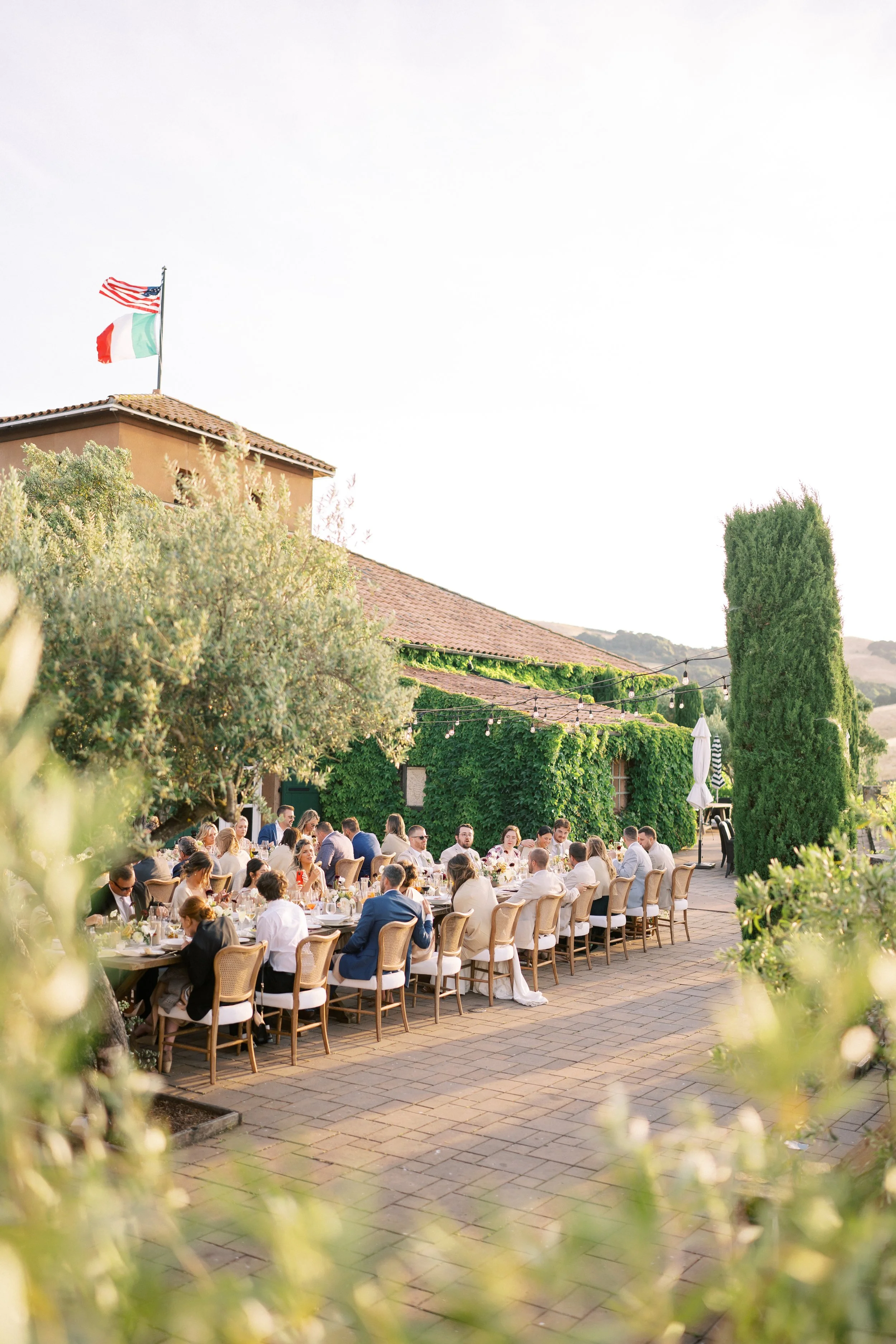 Romantic vineyard wedding at Viansa Winery in Sonoma, California, planned and designed by Plan To Be Wowed. Featuring sunset portraits, elegant vineyard ceremony, al fresco dinner reception, and luxury floral details — the perfect inspiration for a S