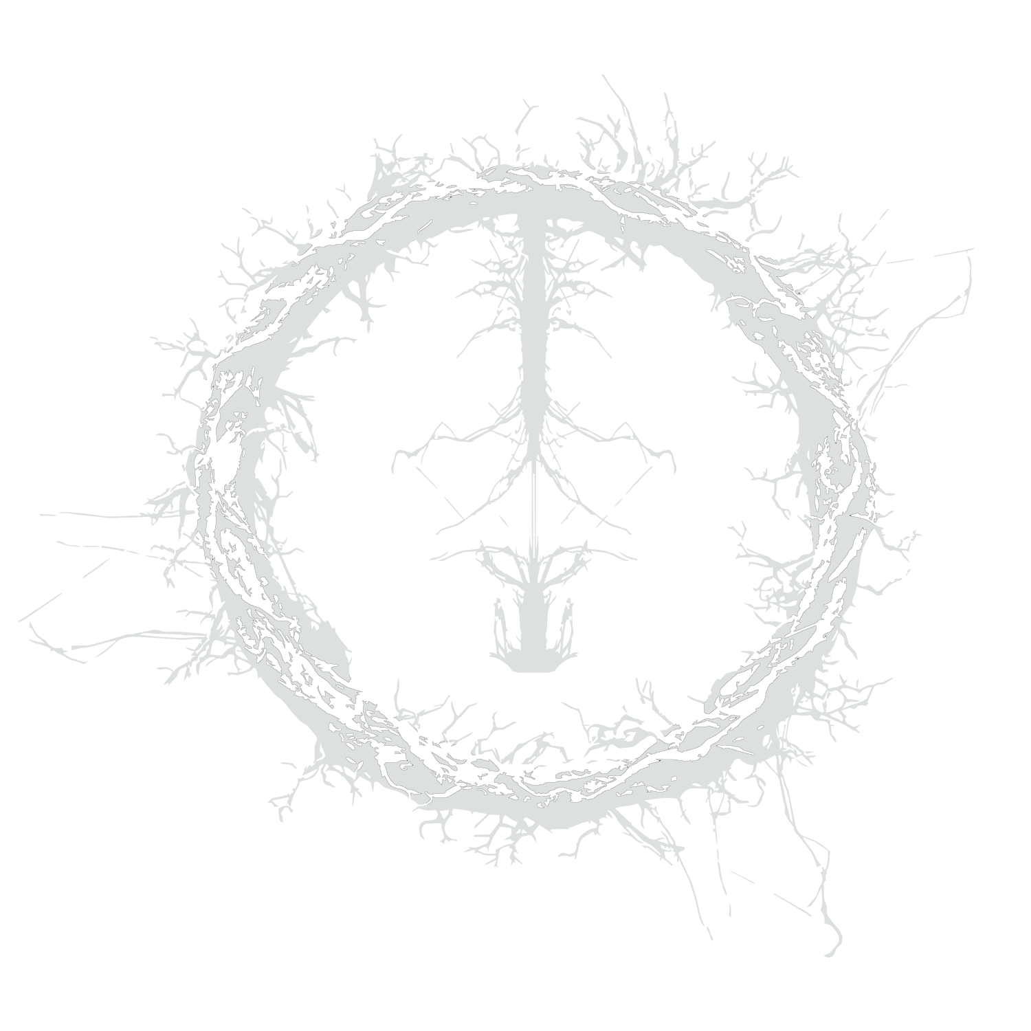 FRAYED HOLLOW