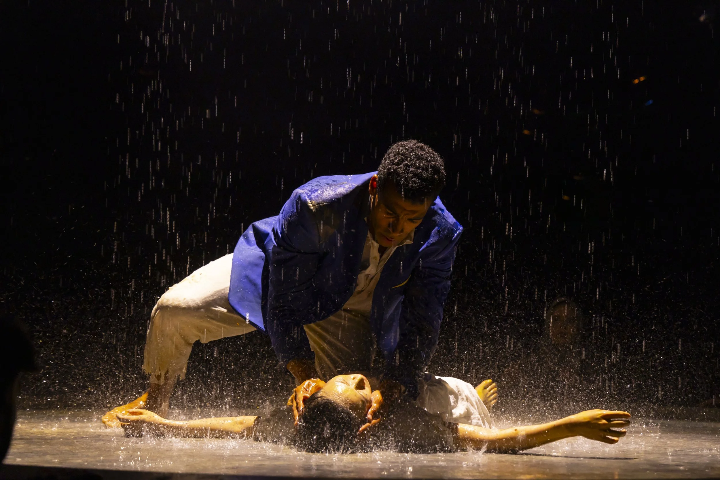 Metamorphoses DGSD 11-24_640.JPG